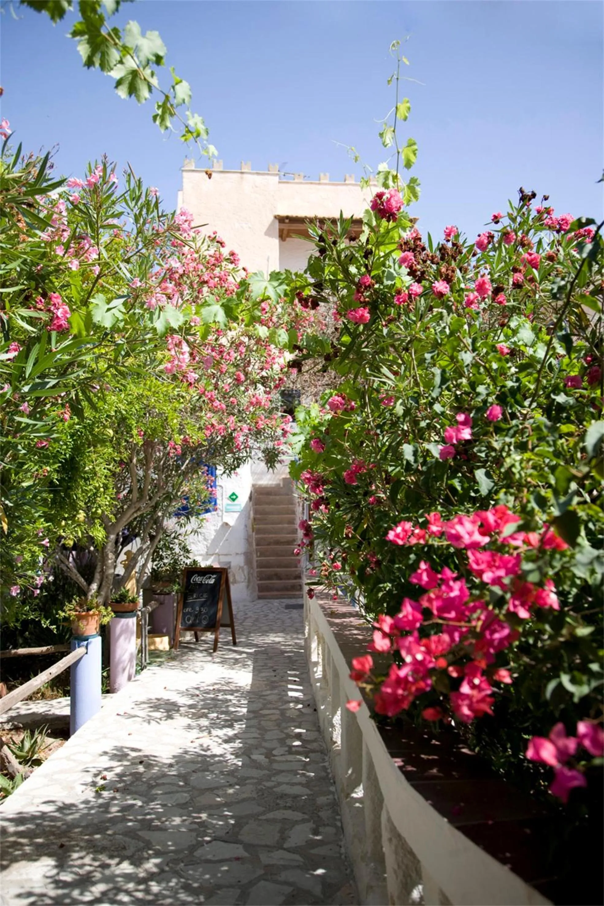 Garden in L'Oasi Villaggio Albergo