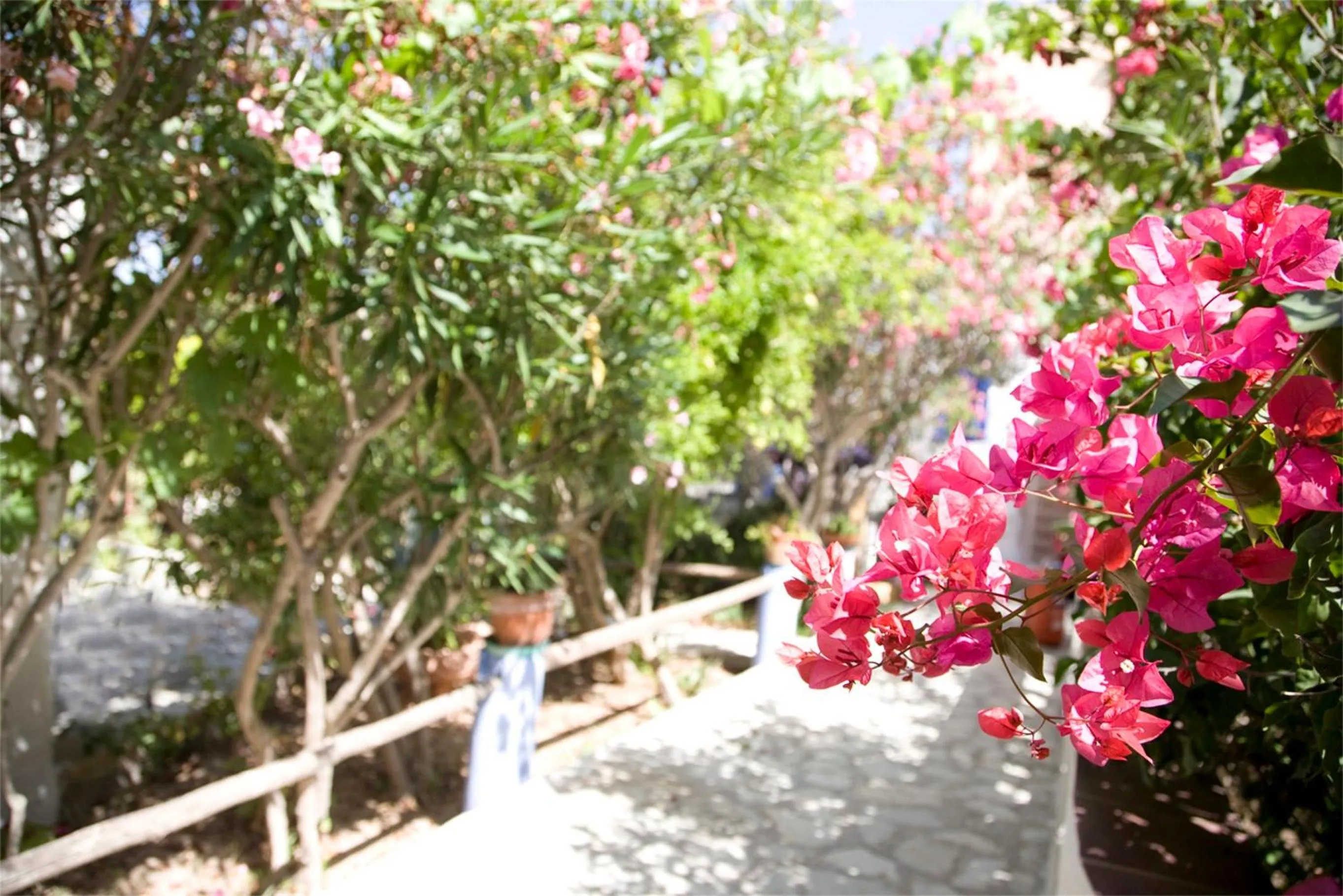 Garden in L'Oasi Villaggio Albergo