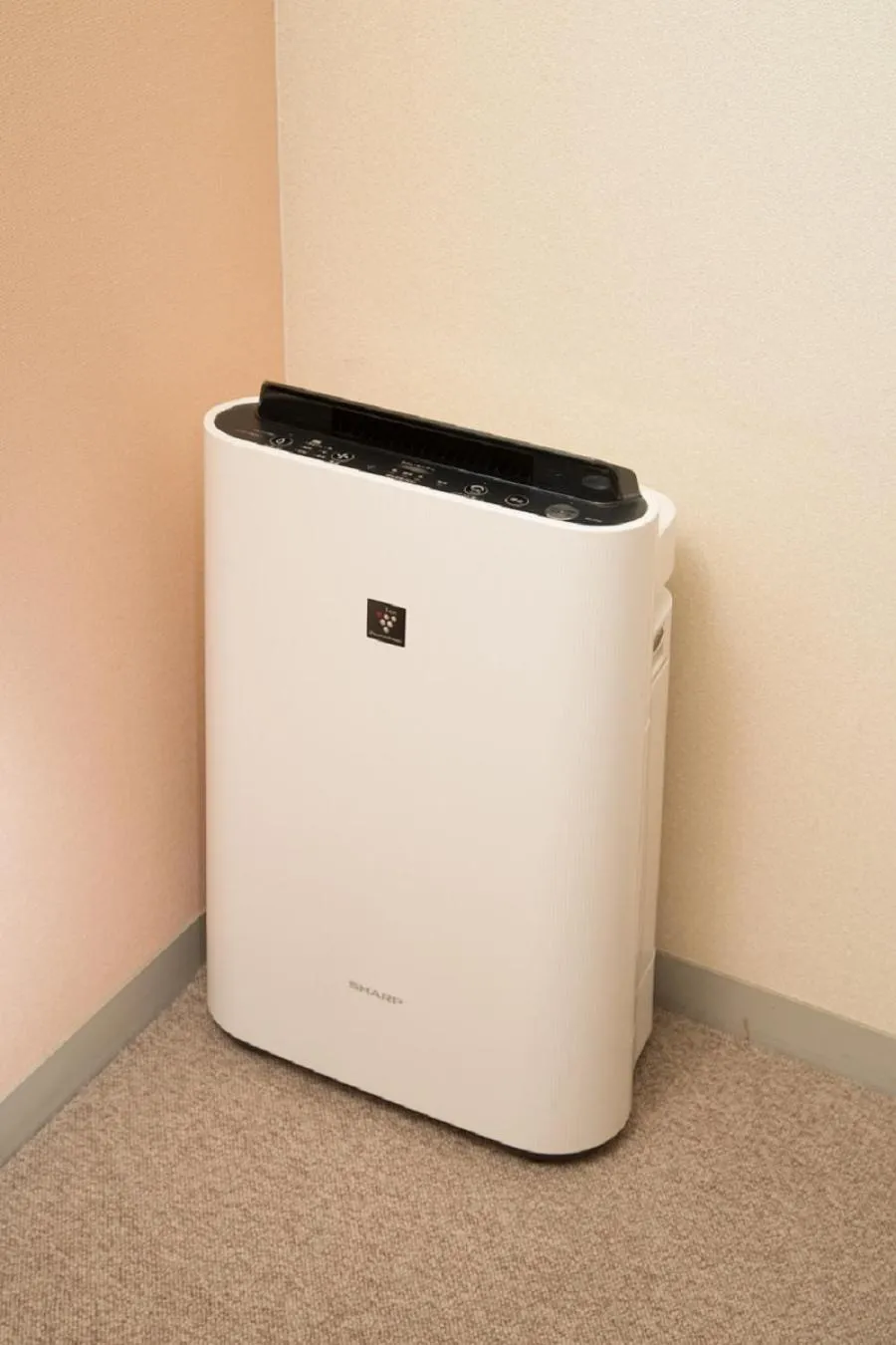 Photo of the whole room in Hotel Yassa