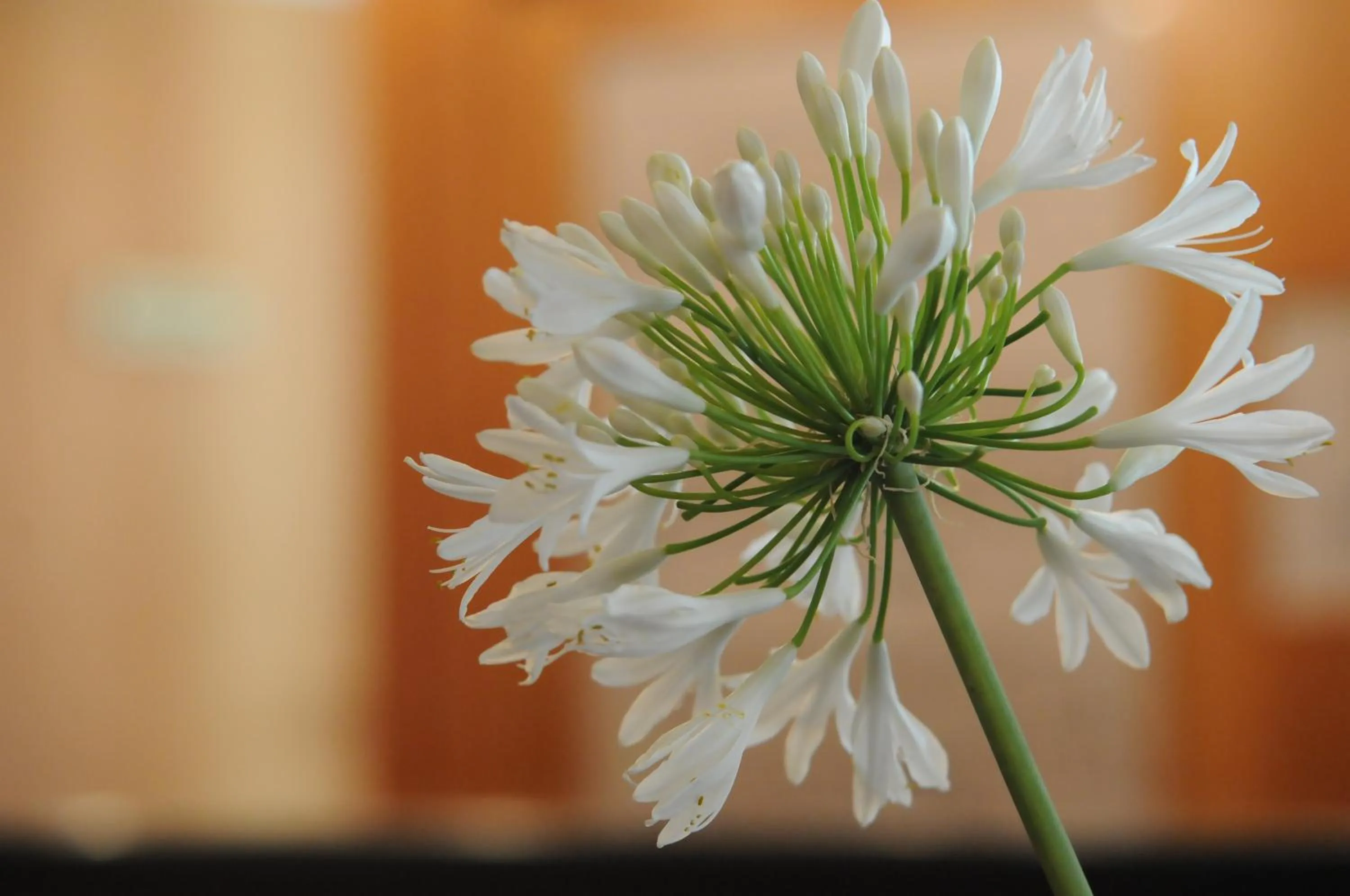 Lobby or reception in Hotel Del Riale