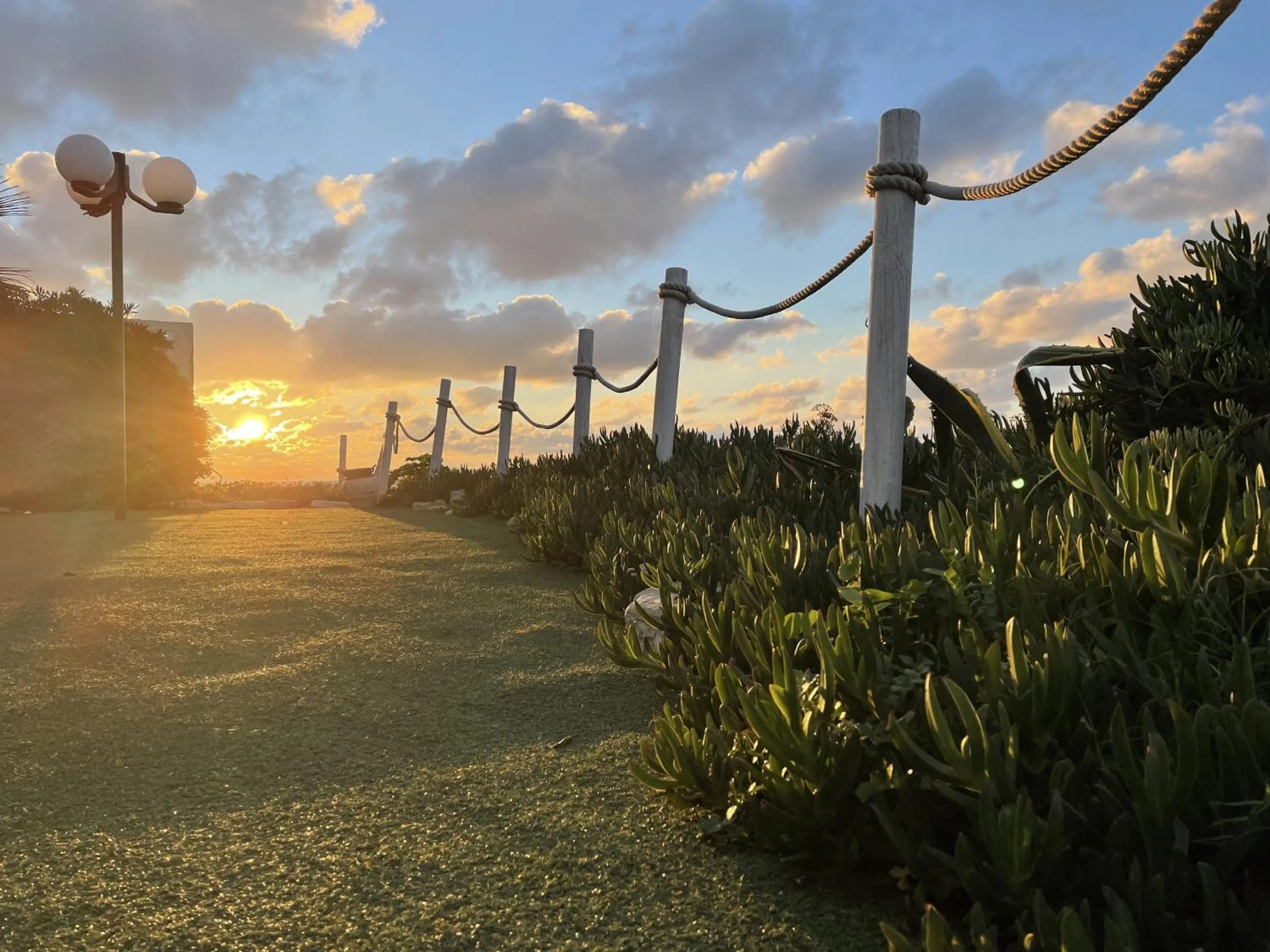Garden in L'Approdo di Angelino
