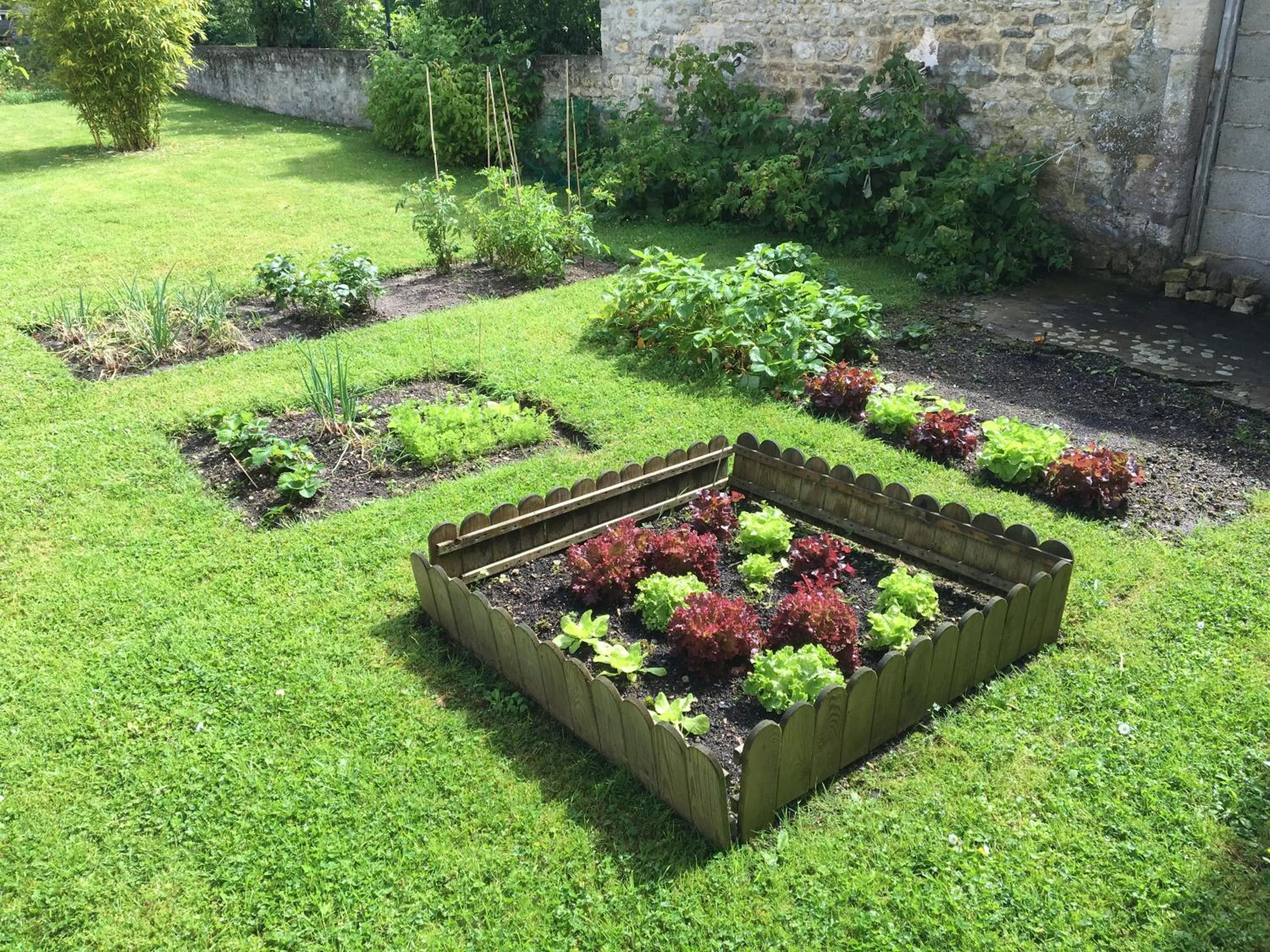 Garden view in La Pomme de nuit