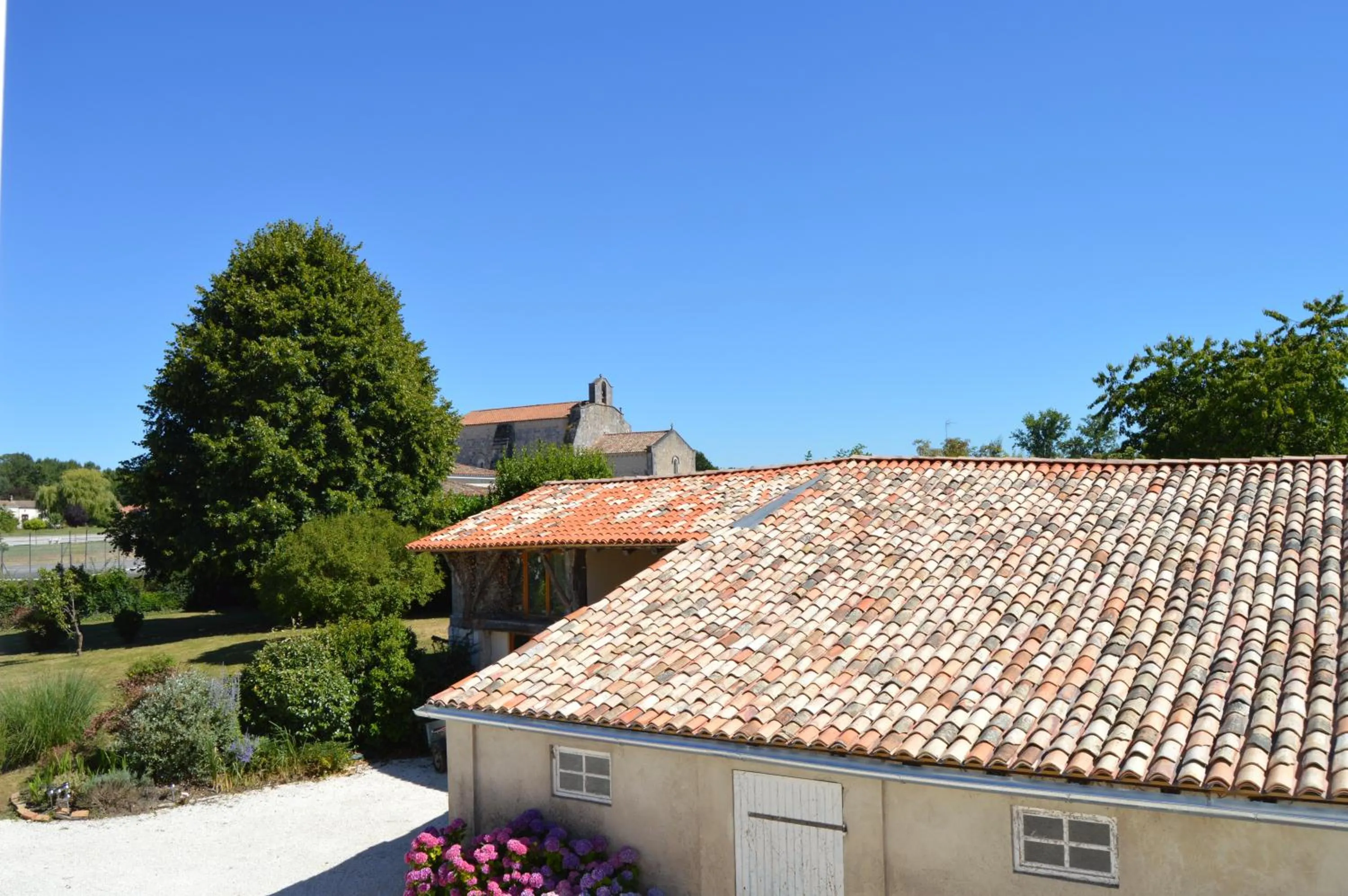 Garden in La Vieille Distillerie
