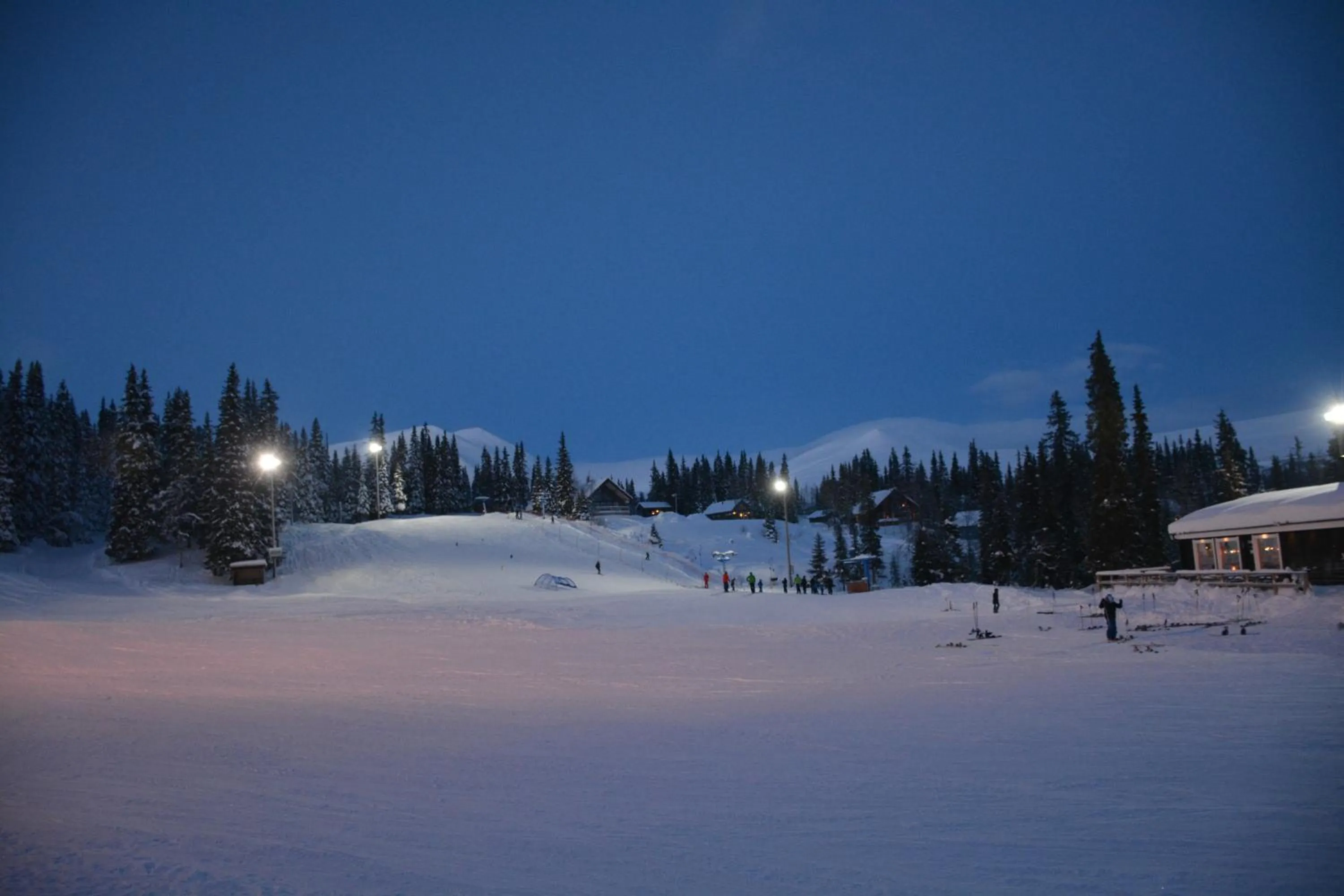 Lillvikens Gästhuset och Stugor