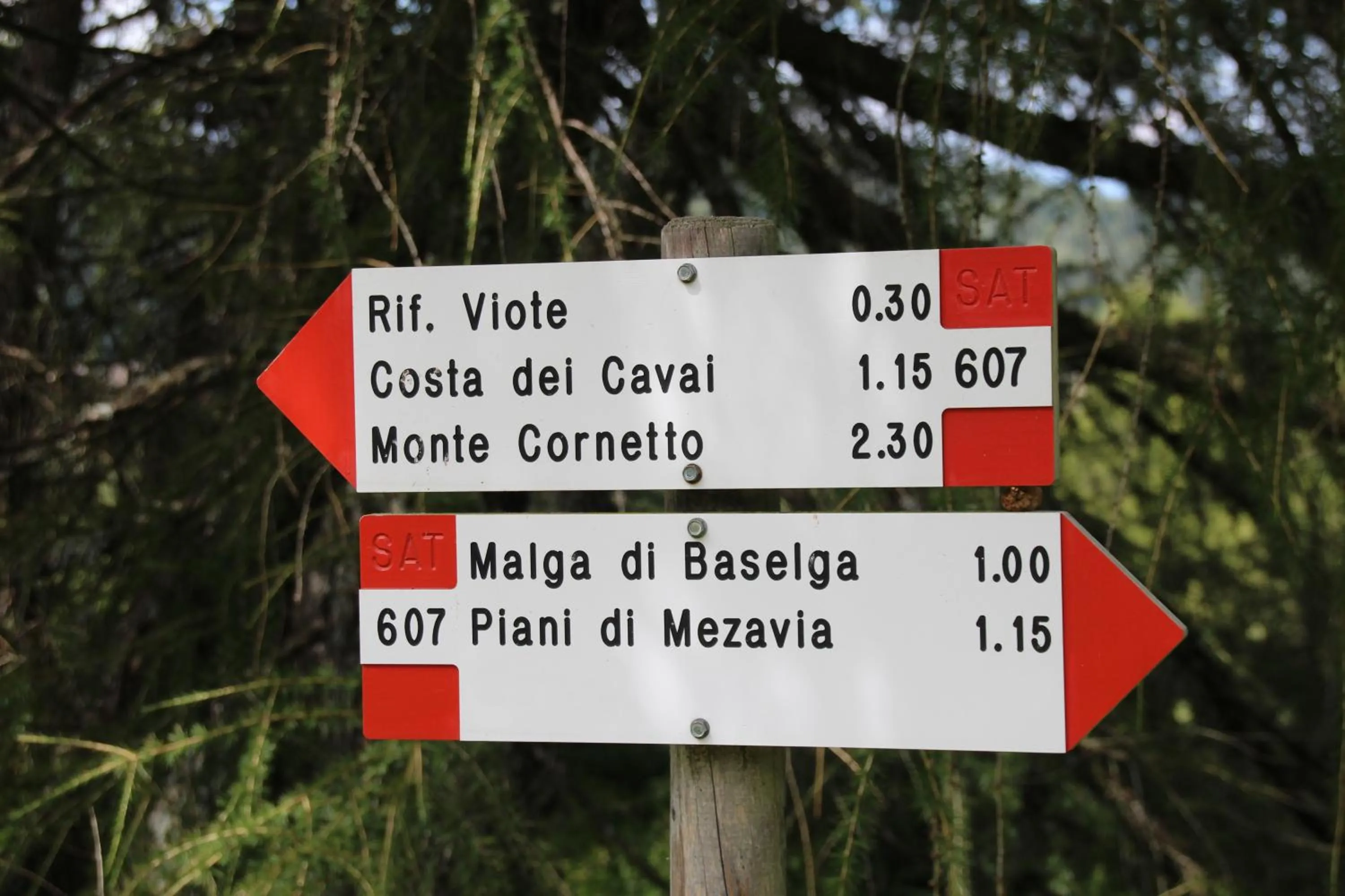 Cycling in Hotel Montana