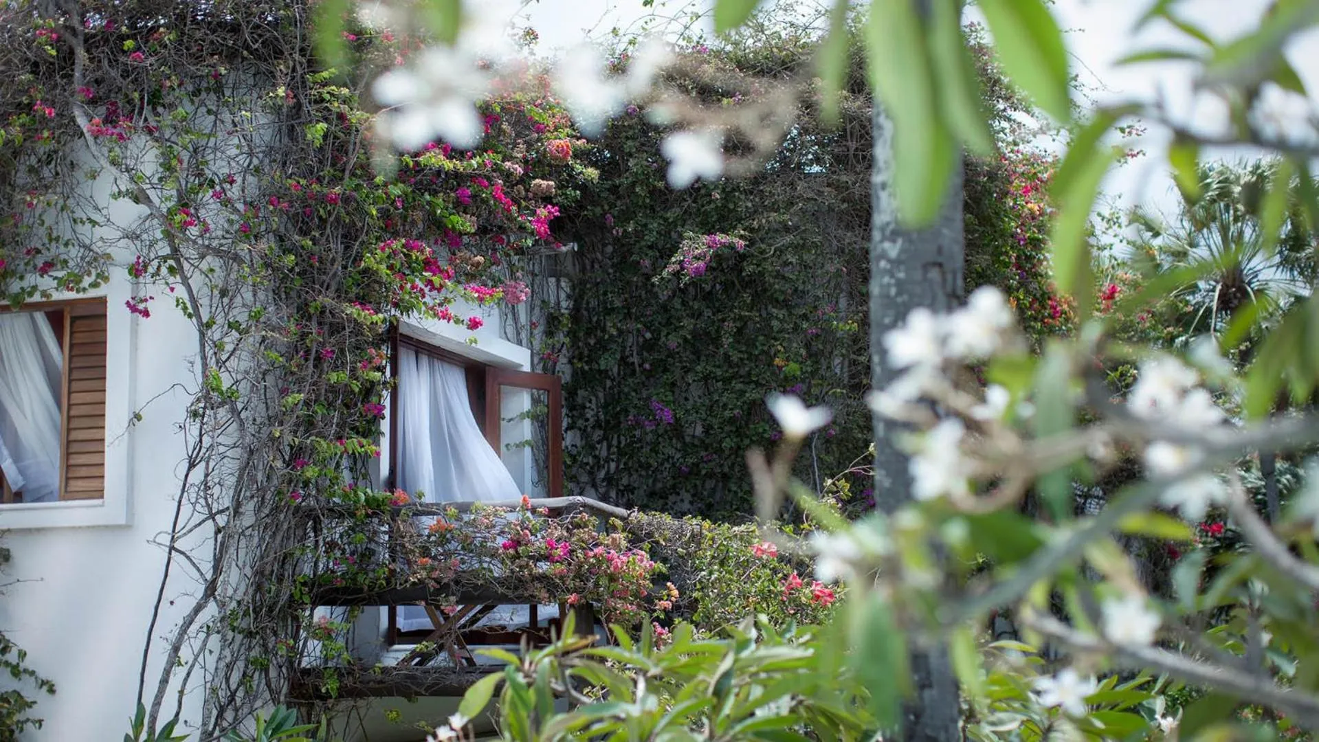 Facade/entrance in My Blue Hotel