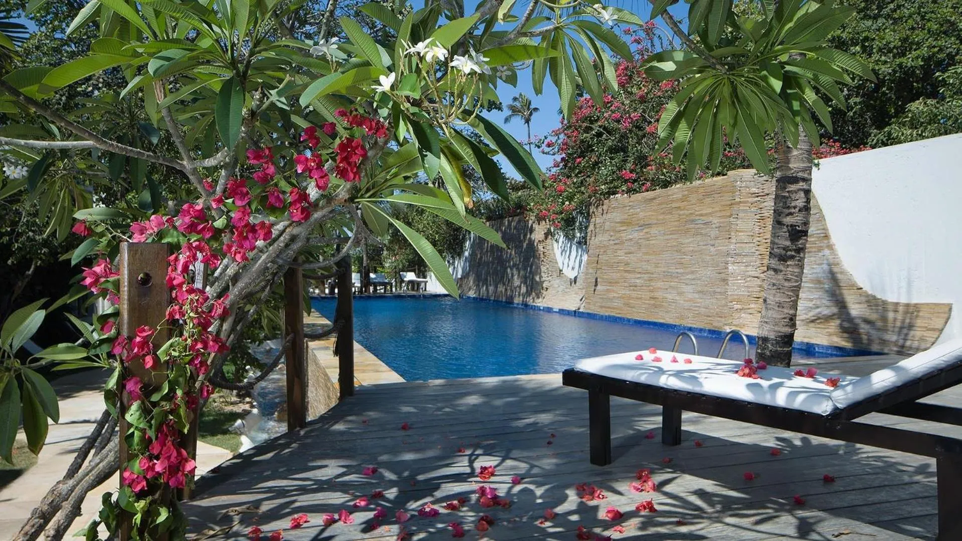 Swimming pool in My Blue Hotel