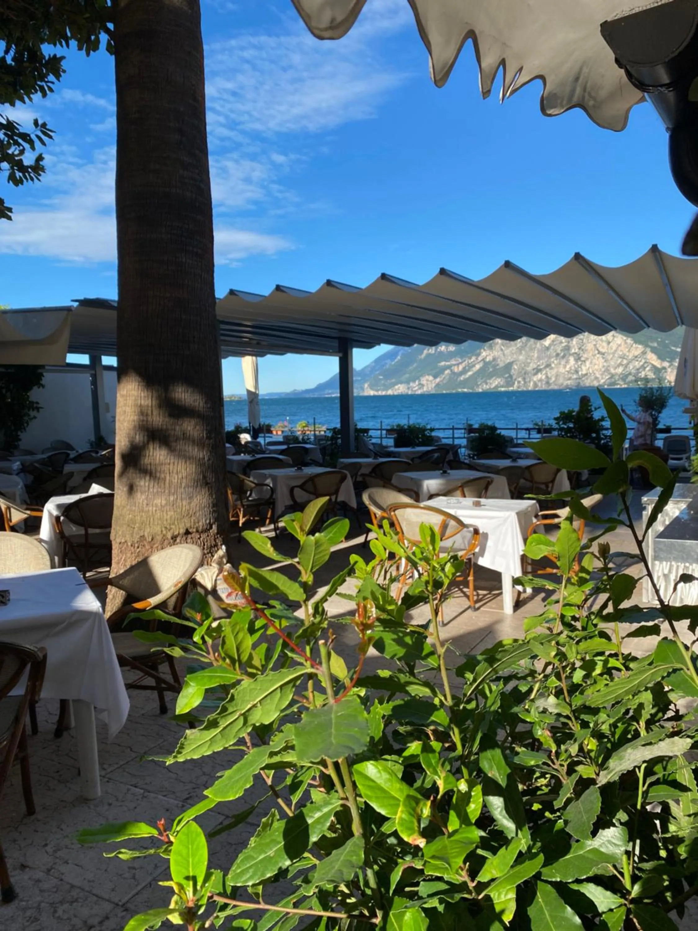 Lake view in Hotel Malcesine