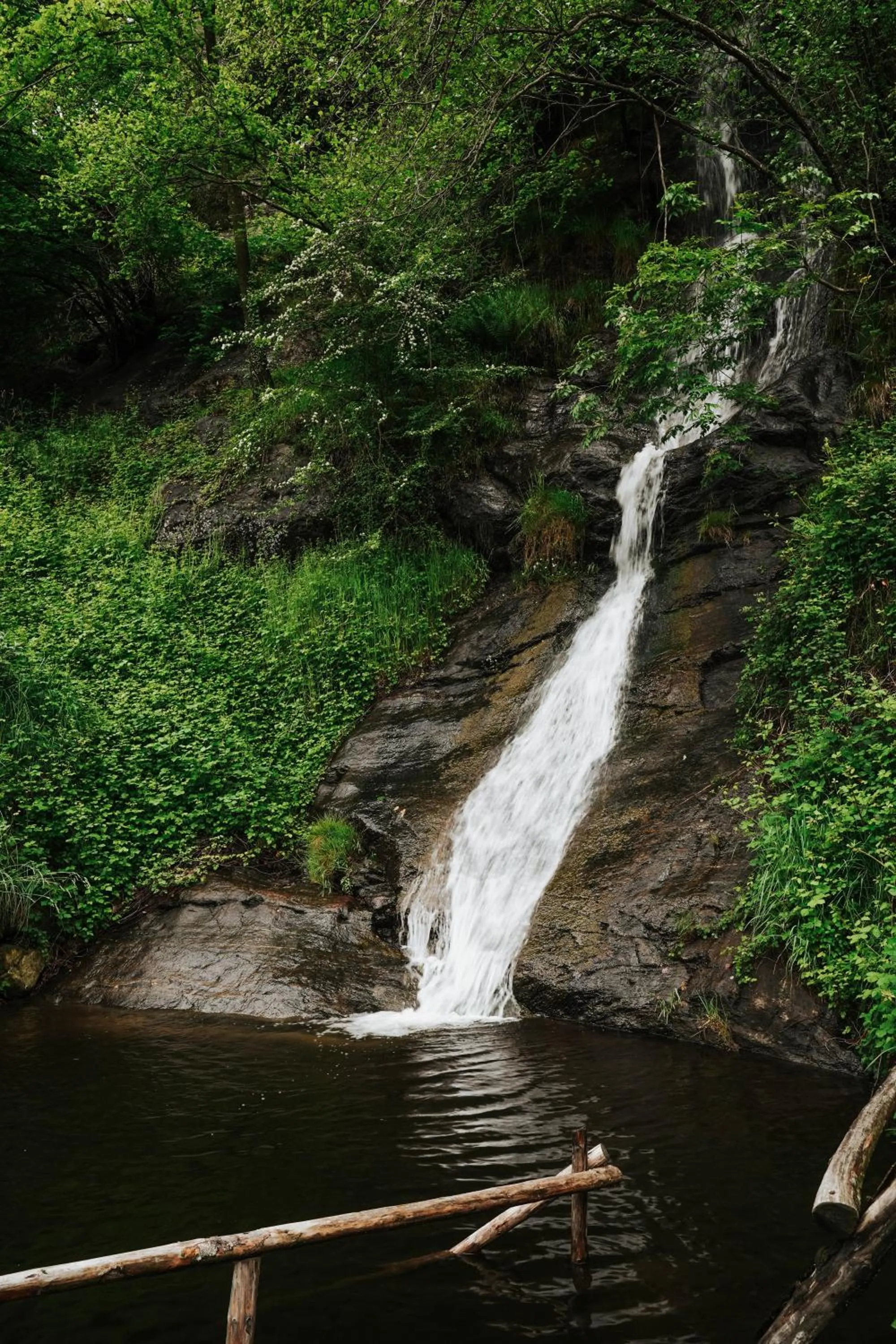 Spa and wellness centre/facilities in Hotel Bad Fallenbach