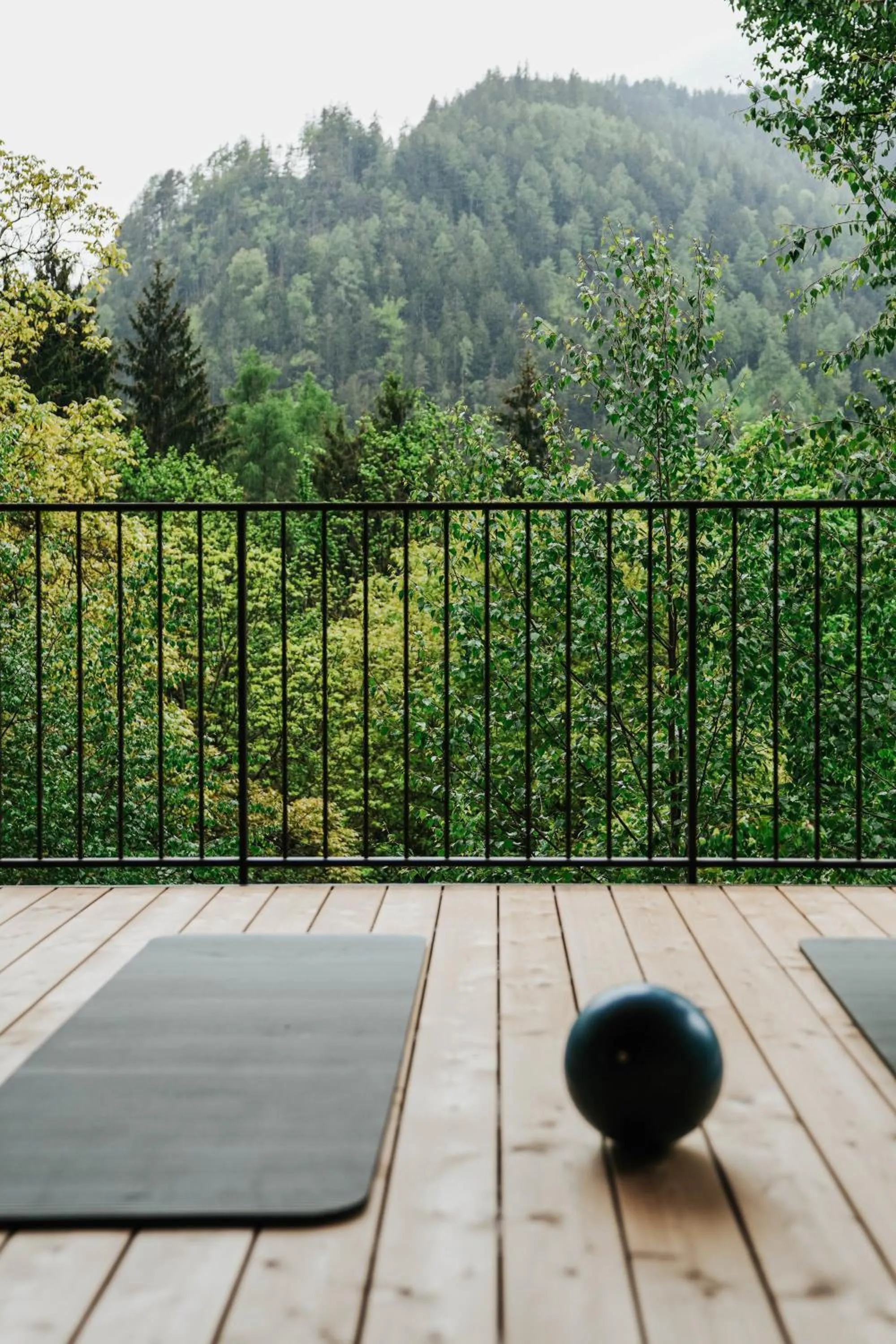 View (from property/room) in Hotel Bad Fallenbach