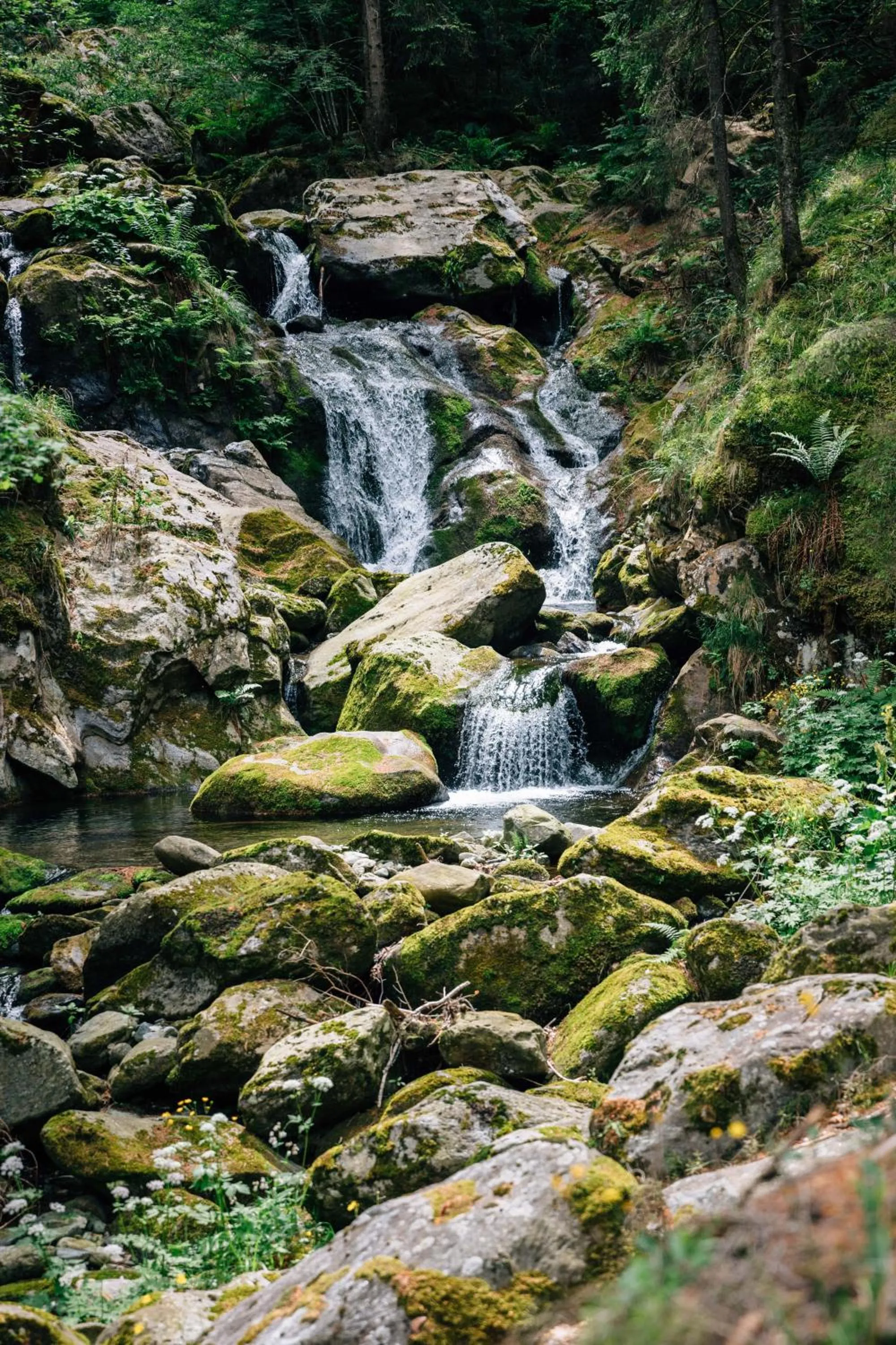 Hiking in Hotel Bad Fallenbach