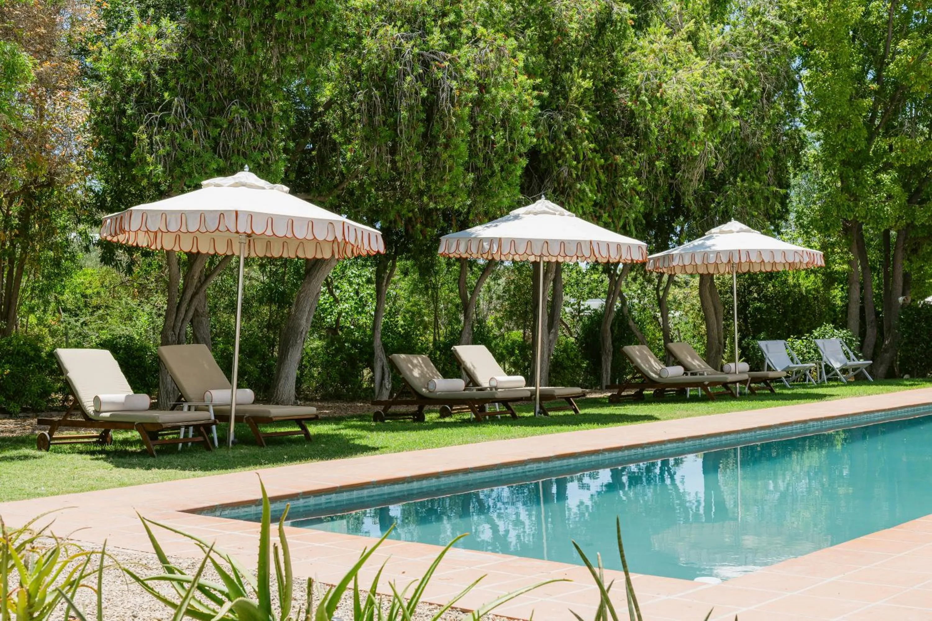 Swimming pool in De Bergkant