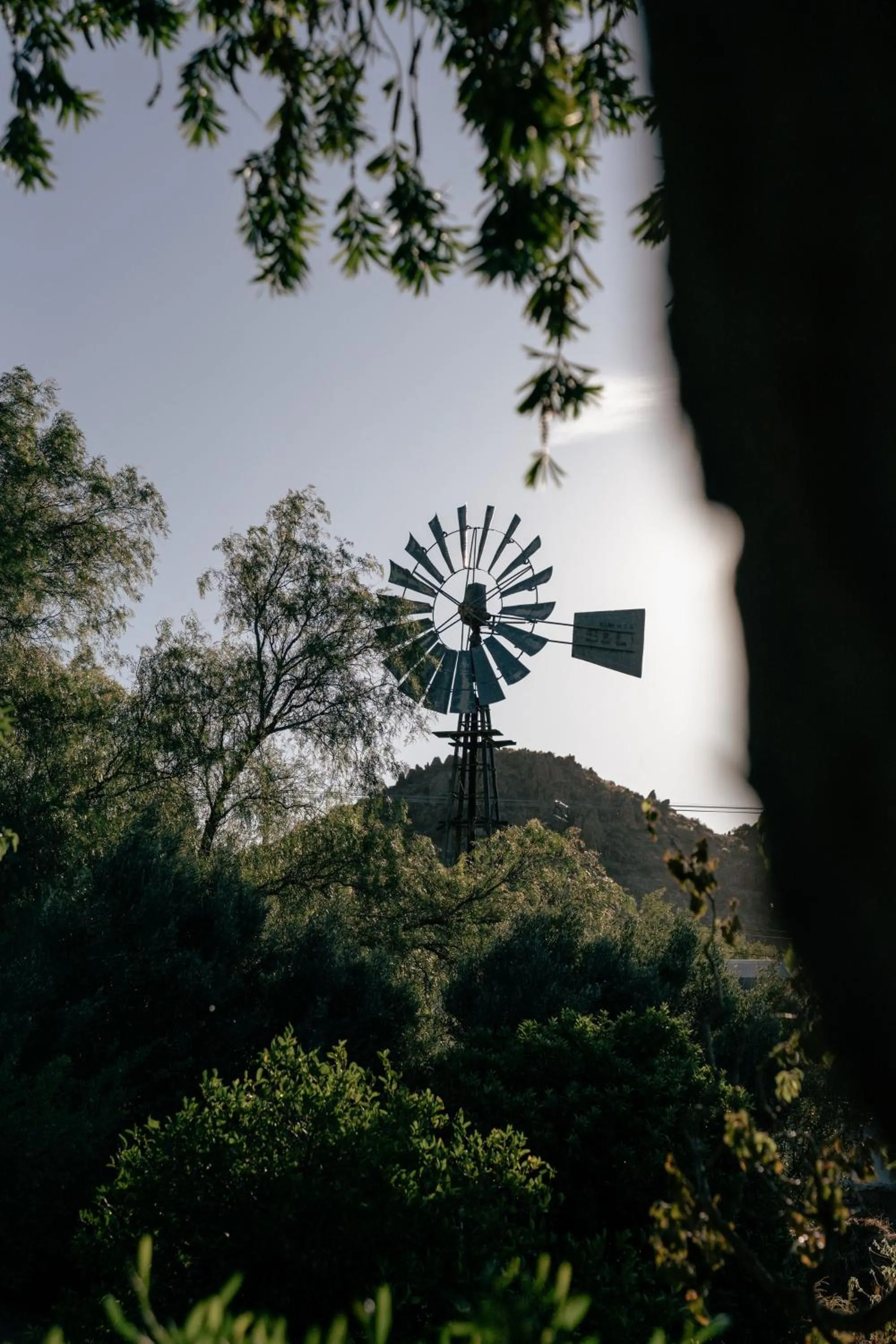Garden in De Bergkant