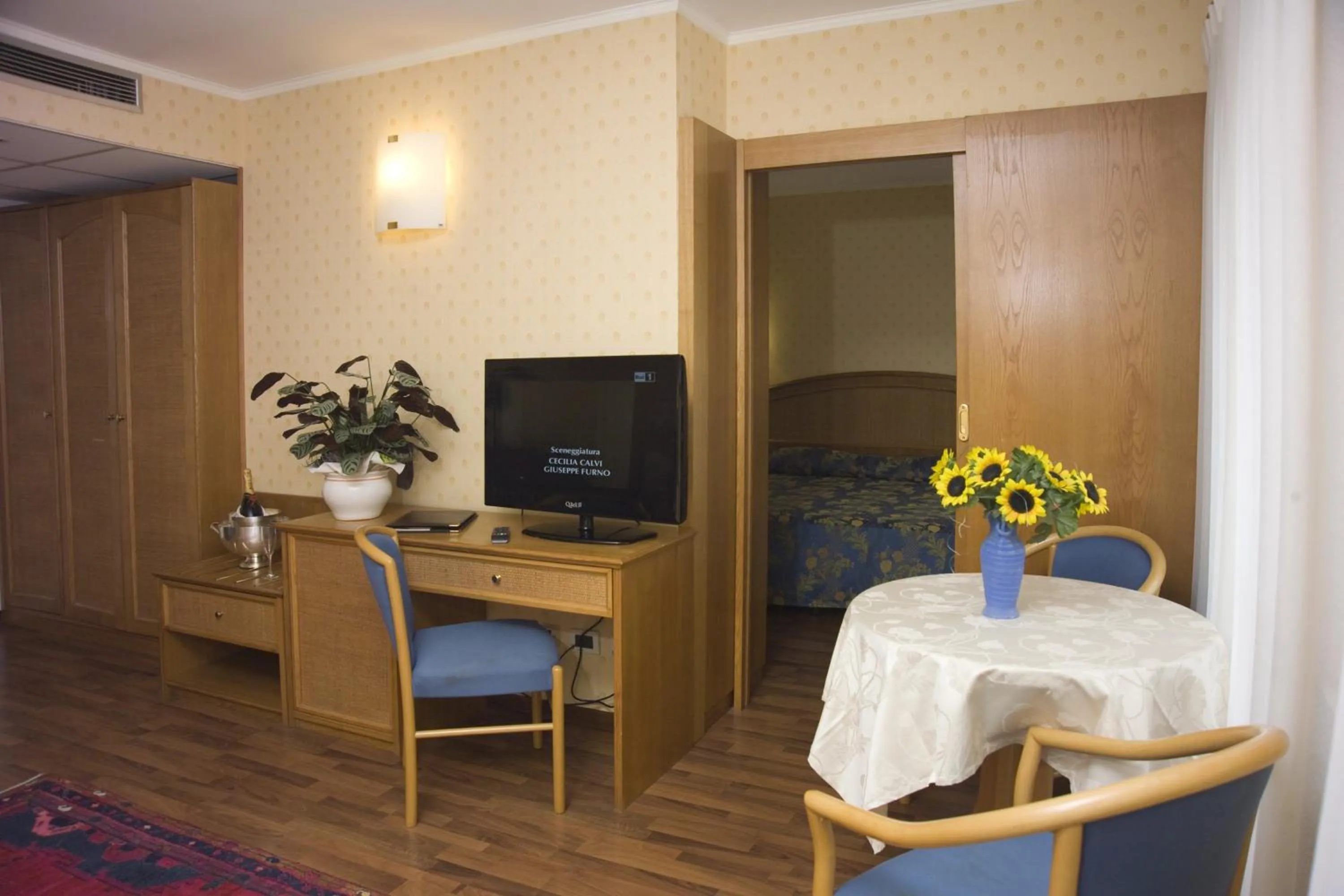 TV and multimedia in Hotel Metropole