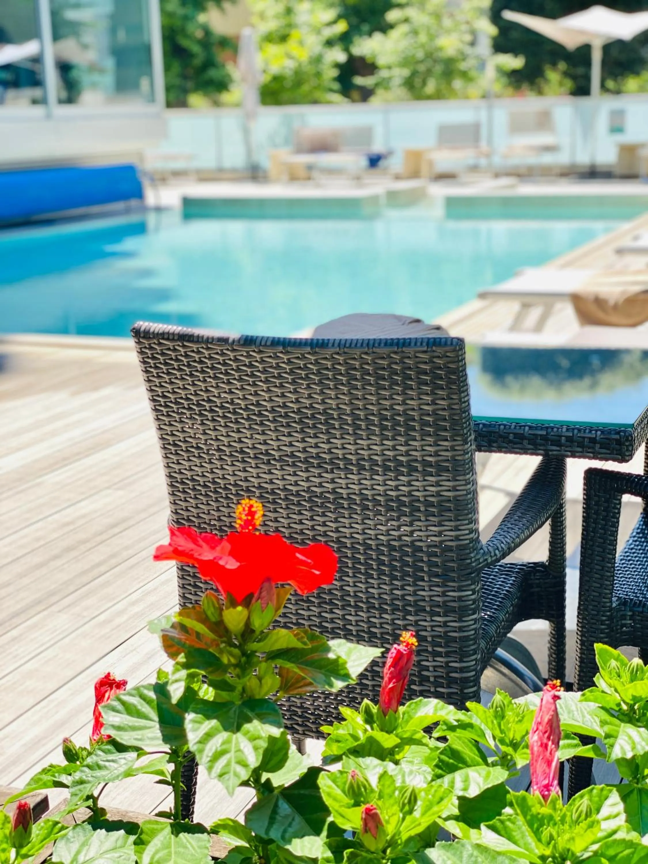Pool view in Aqua Hotel