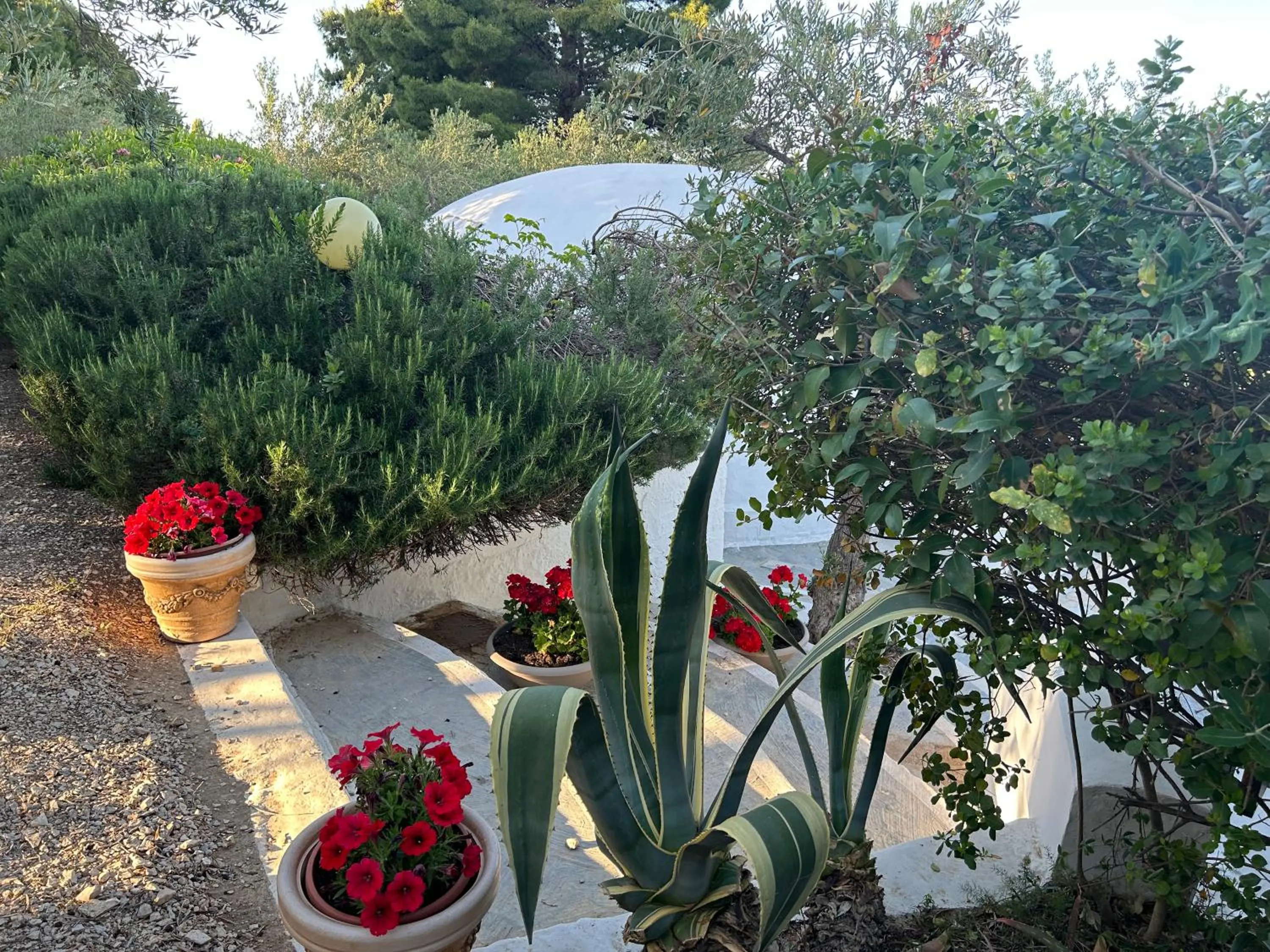 Garden in Residence Guidaloca