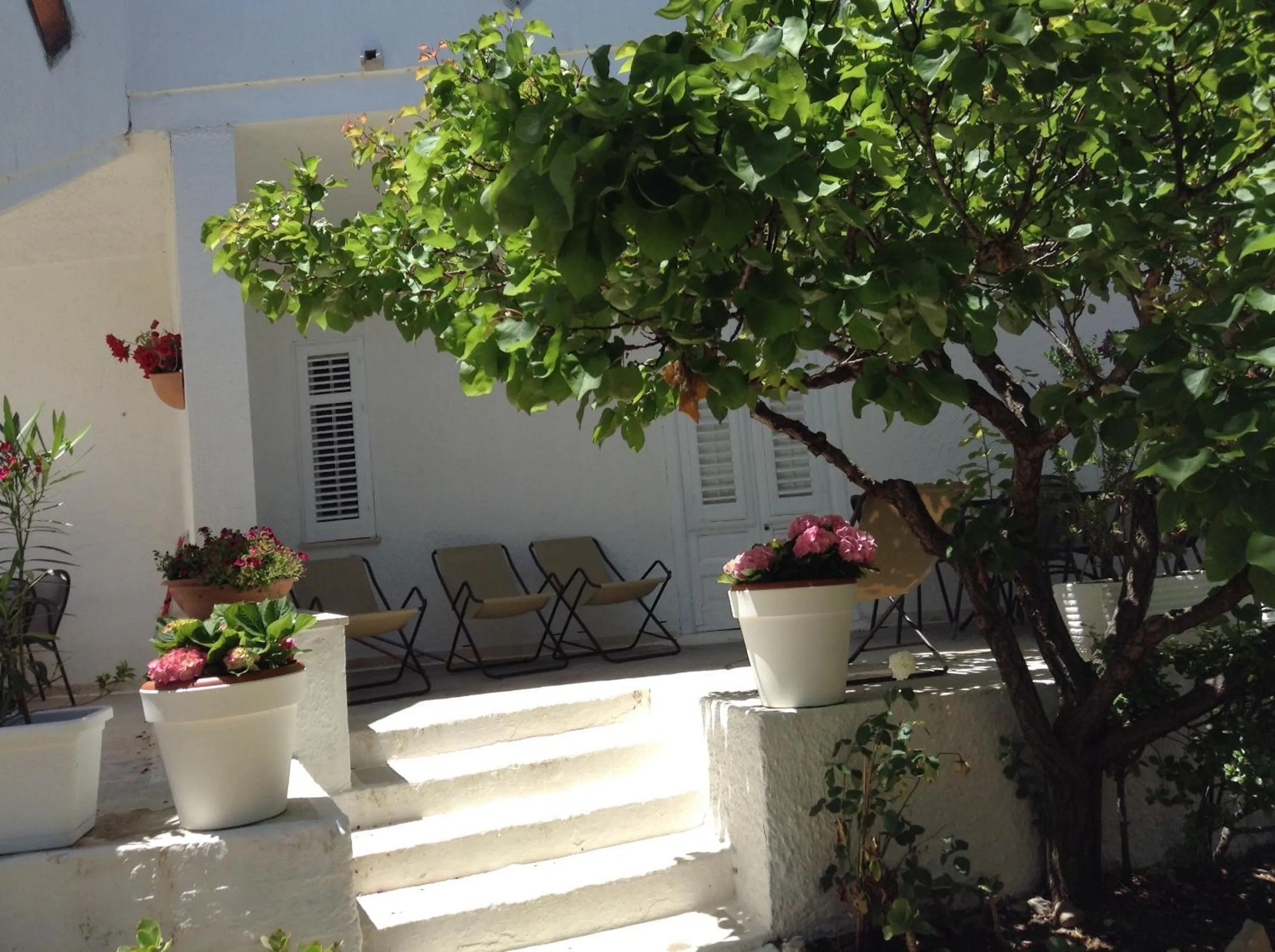 Other in Residence Guidaloca