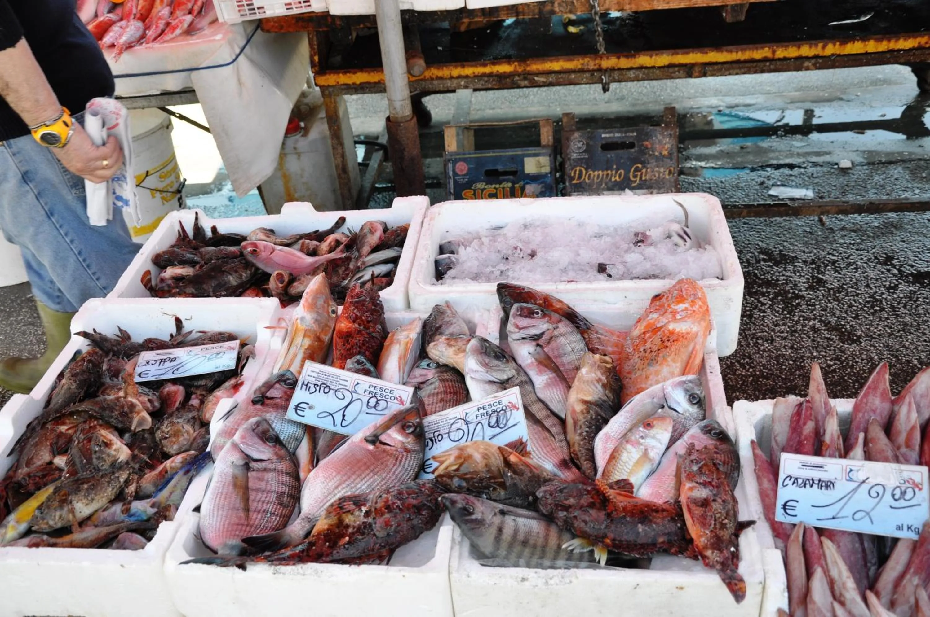 Nearby landmark in B&B MaryJosè