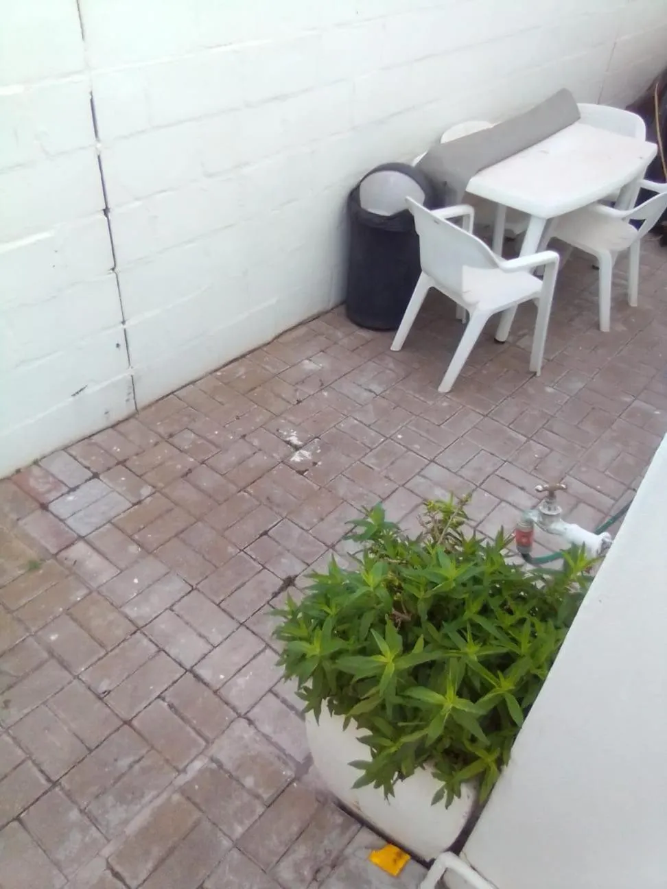 Seating area in Au Plais De Langebaan at Palm Tree Villa