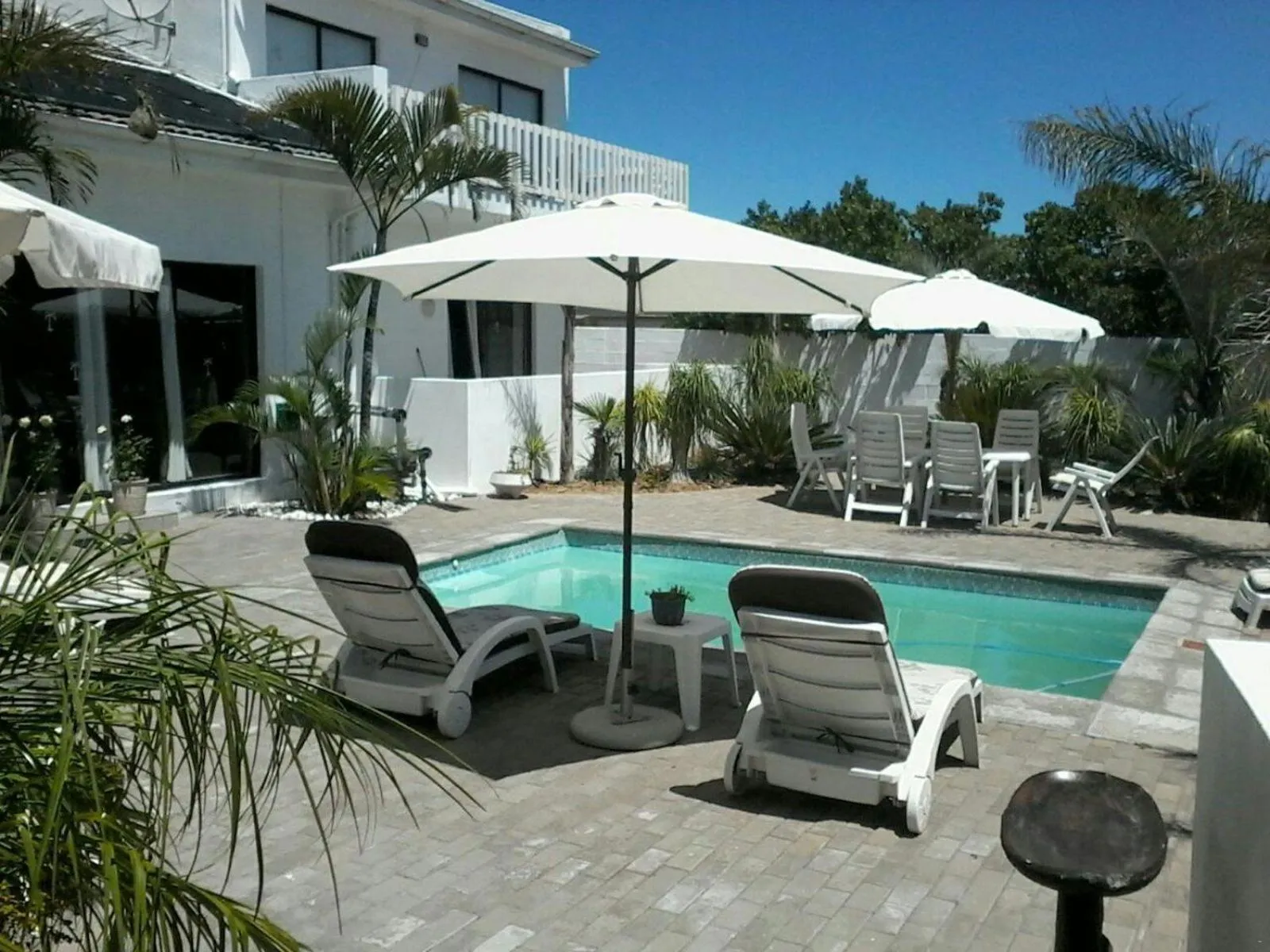 Swimming pool in Au Plais De Langebaan at Palm Tree Villa