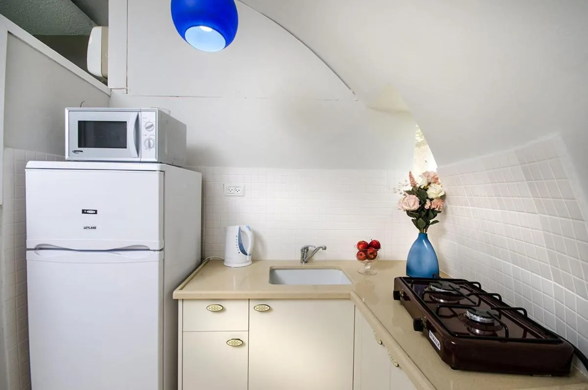 Kitchen or kitchenette in Dor Country Lodging