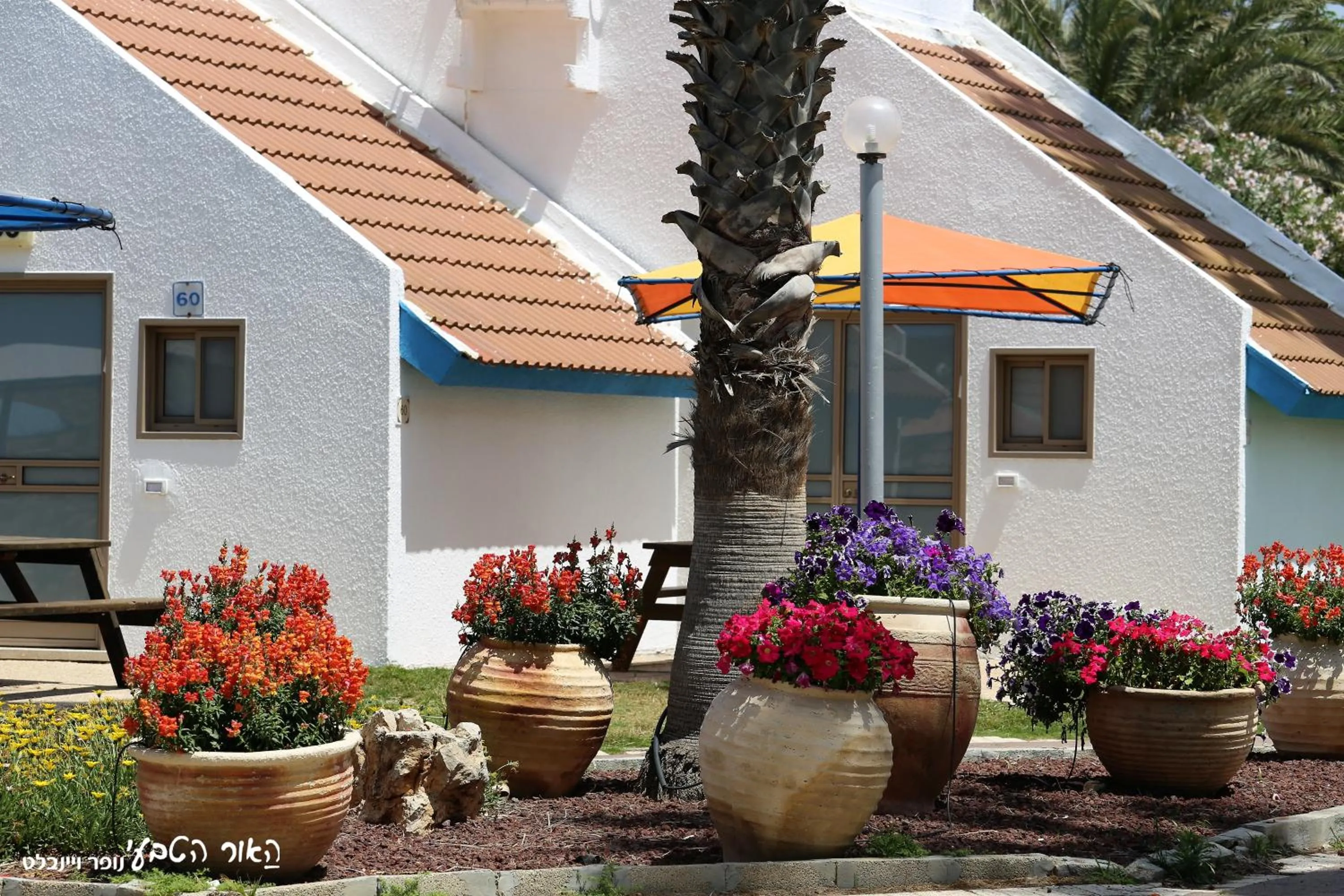 Natural landscape in Dor Country Lodging