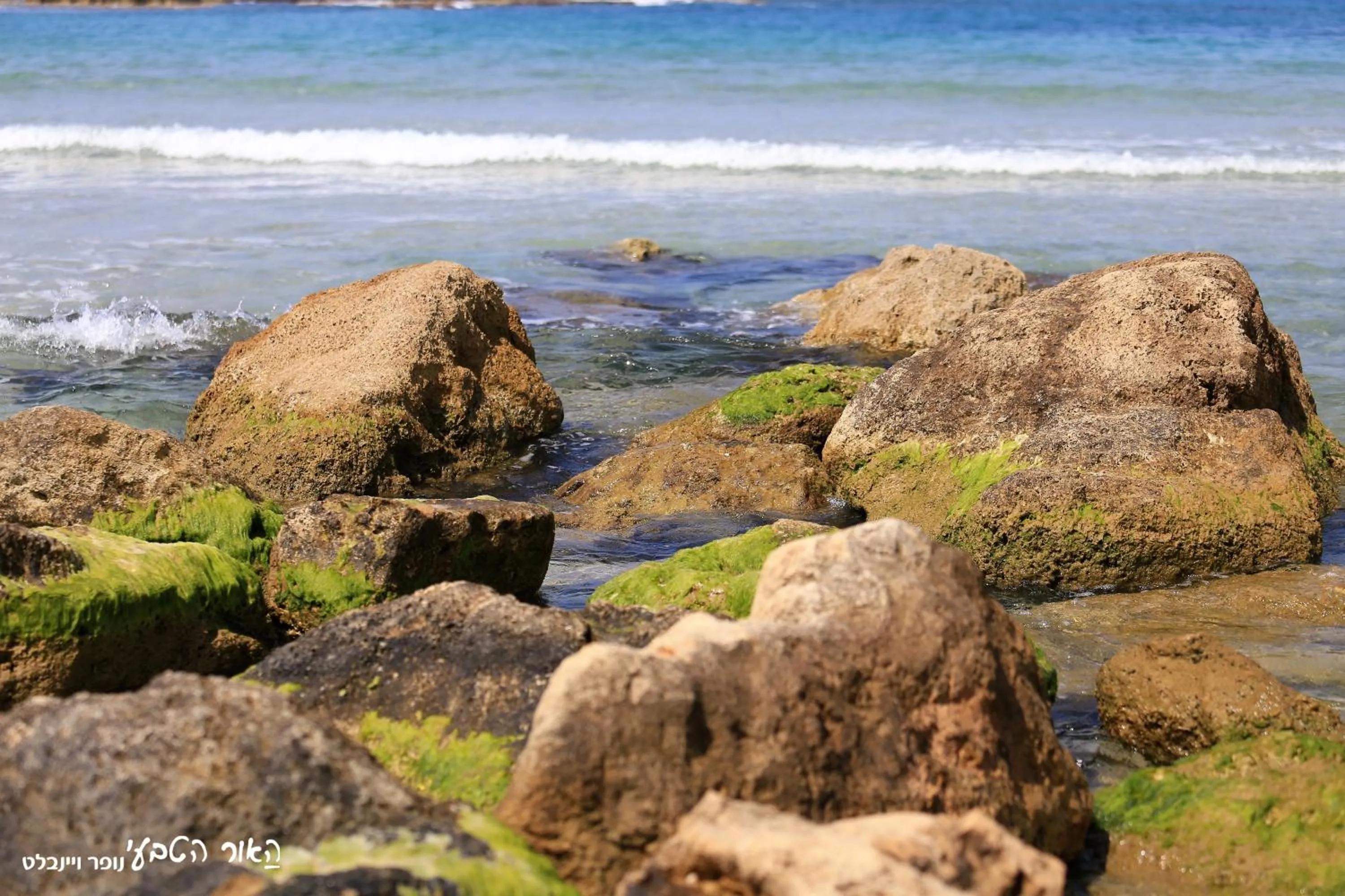 Beach in Dor Country Lodging