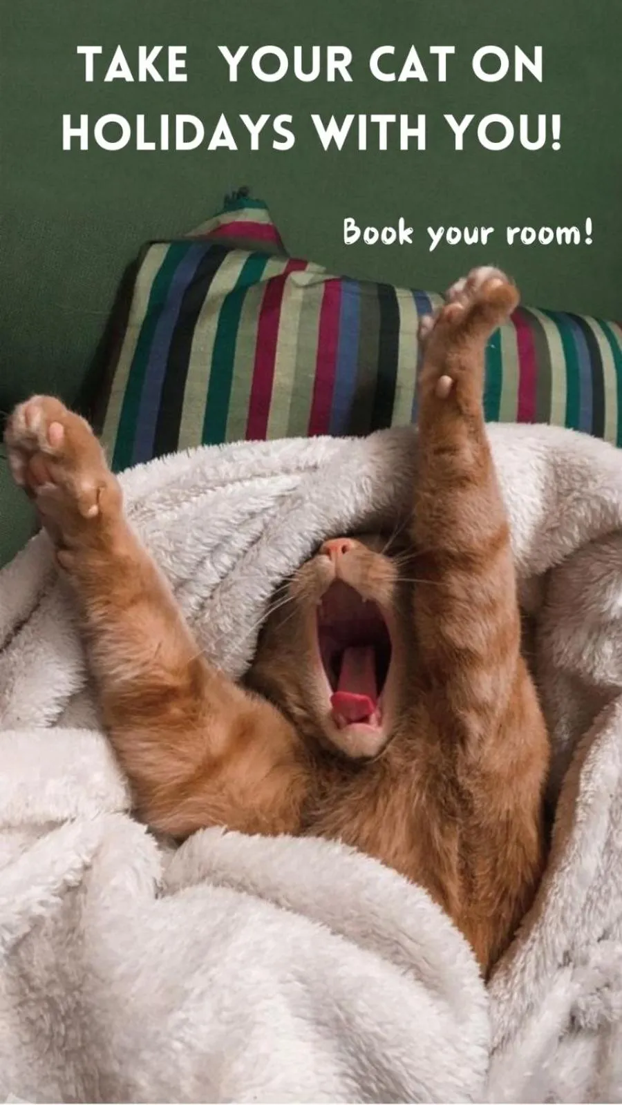 Animals in Hotel Europa & Concordia