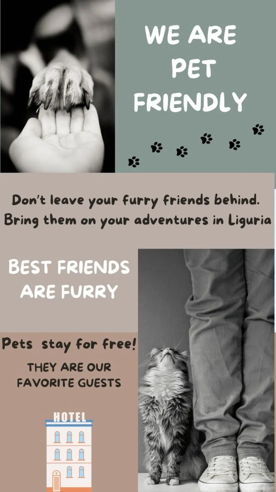 Animals in Hotel Europa & Concordia