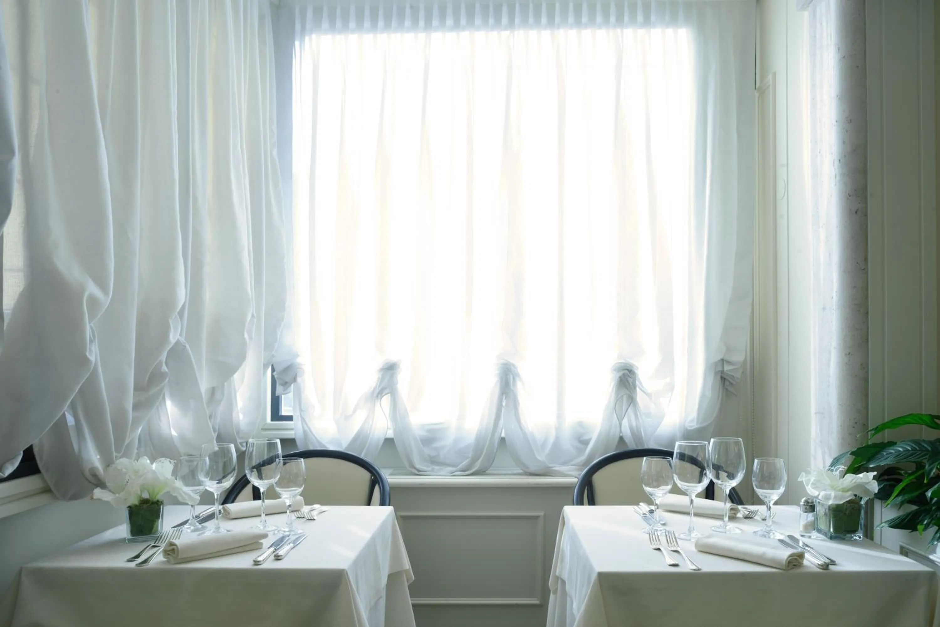 Restaurant/places to eat in Hotel Europa & Concordia