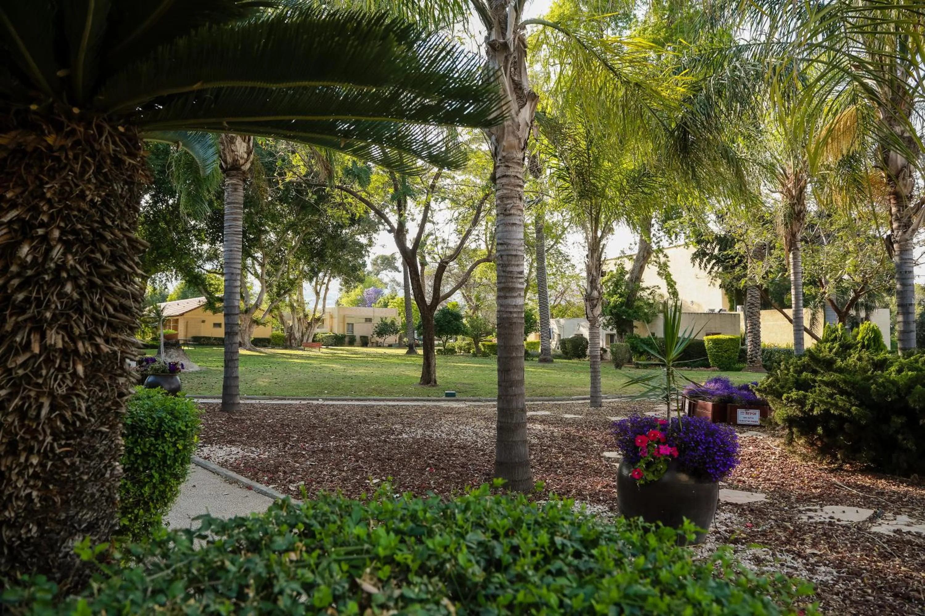 Other in Jacob Ohalo Kinneret