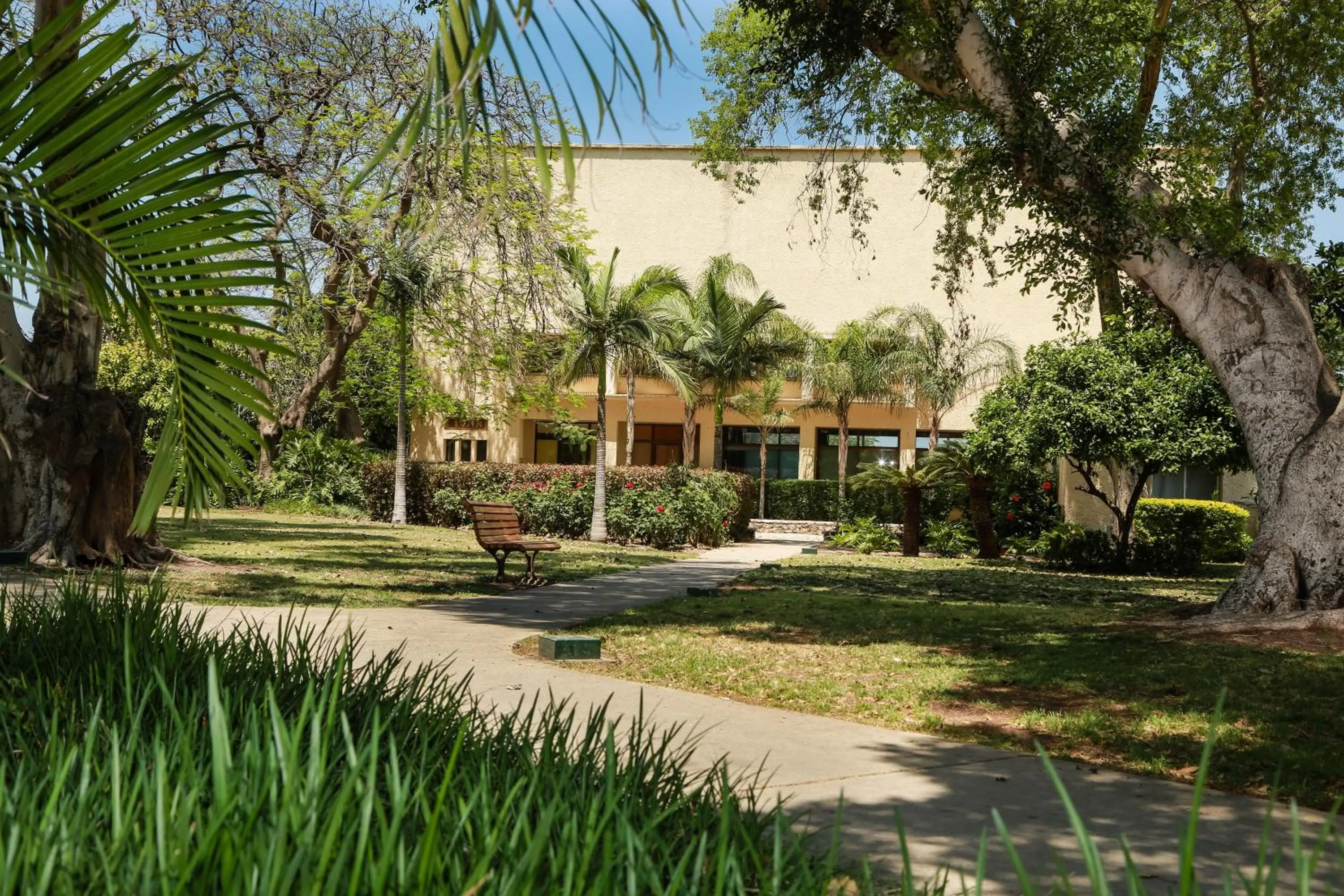 Other in Jacob Ohalo Kinneret