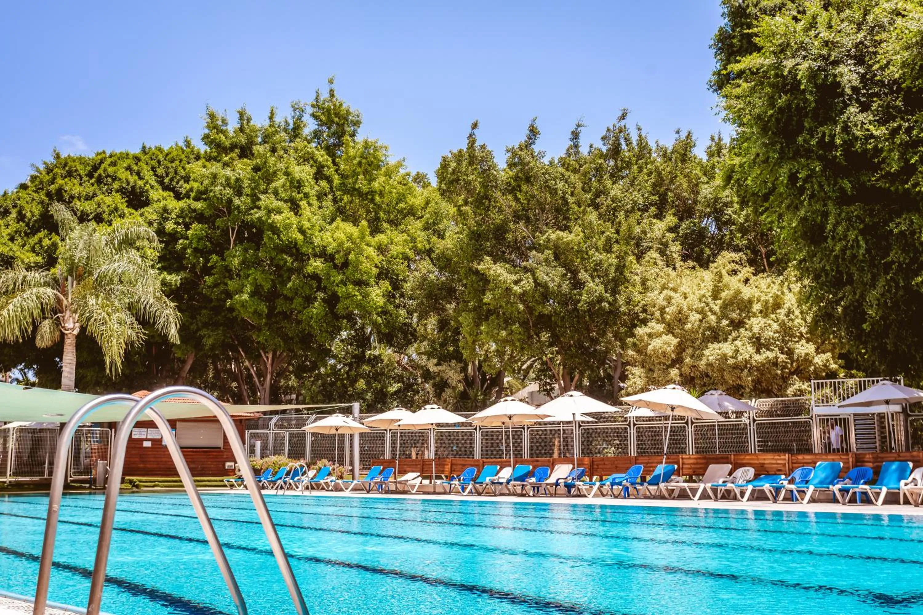 Swimming pool in Kfar Maccabiah Business & Sport Hotel