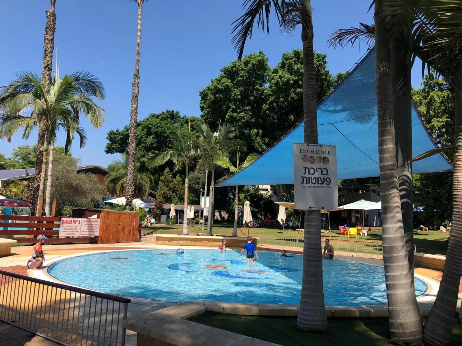 Swimming pool in Kfar Maccabiah Business & Sport Hotel