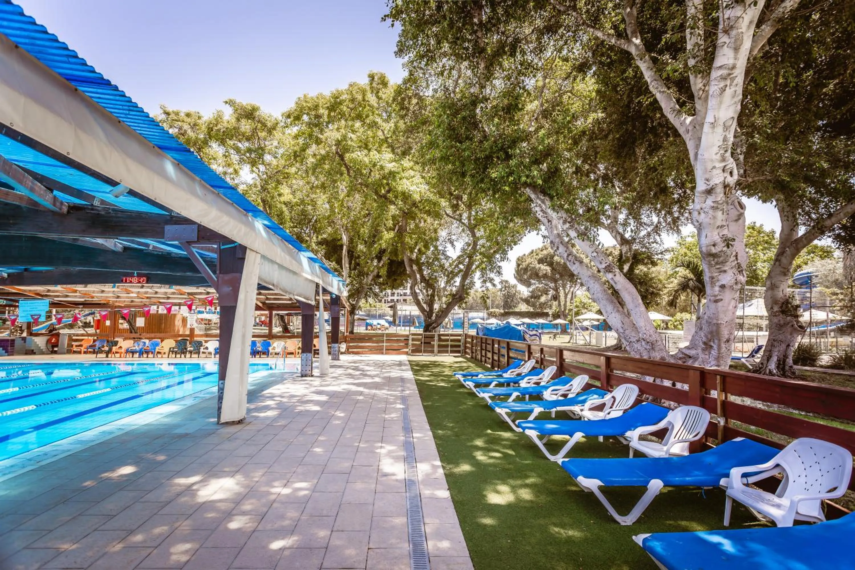 Swimming pool in Kfar Maccabiah Business & Sport Hotel