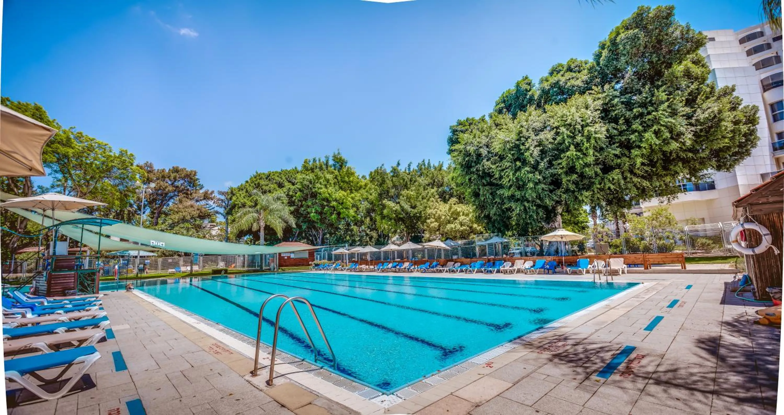 Swimming pool in Kfar Maccabiah Business & Sport Hotel