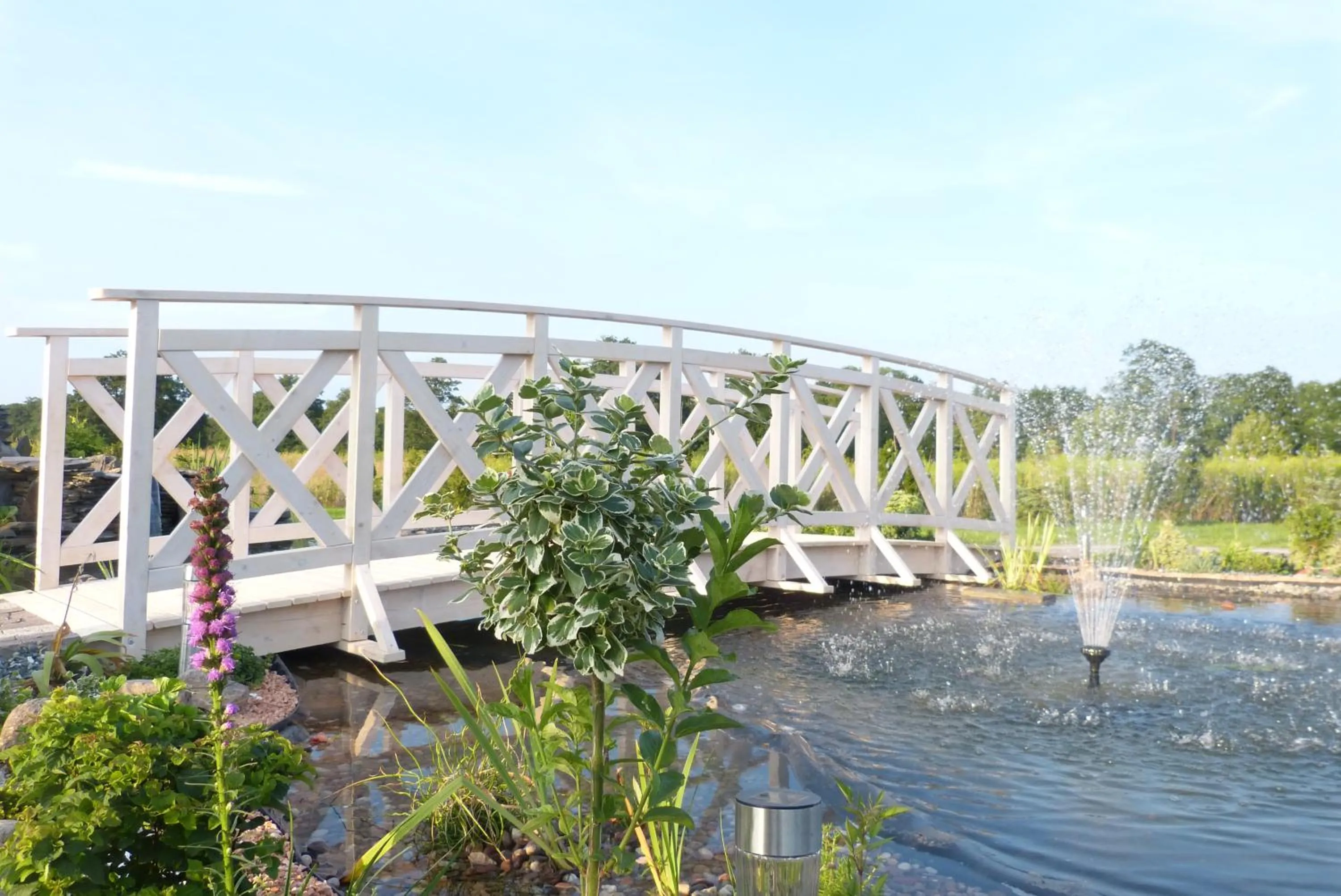 Natural landscape in Hotel Irys