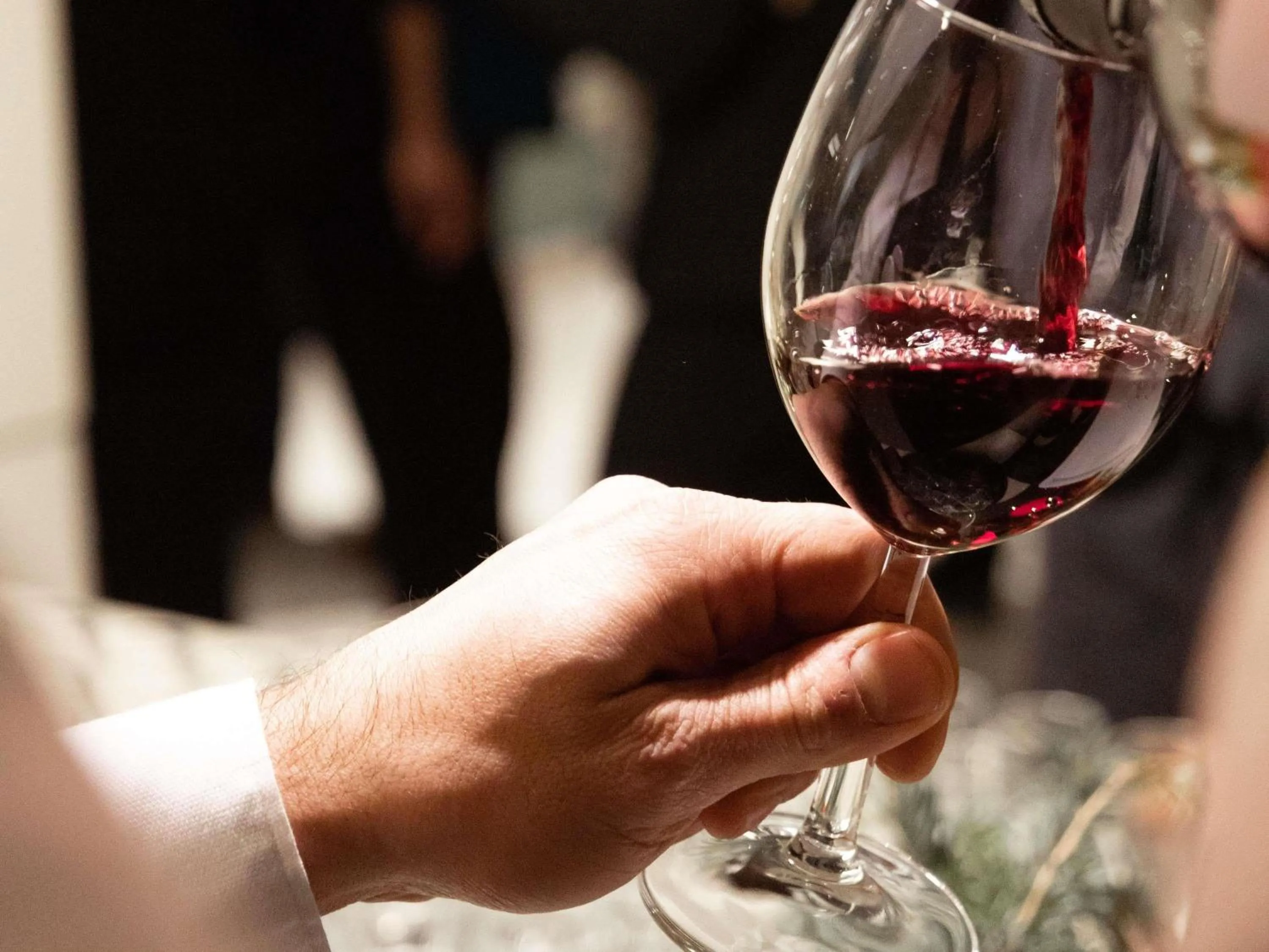 Lounge or bar in Mercure Milano Agrate Brianza