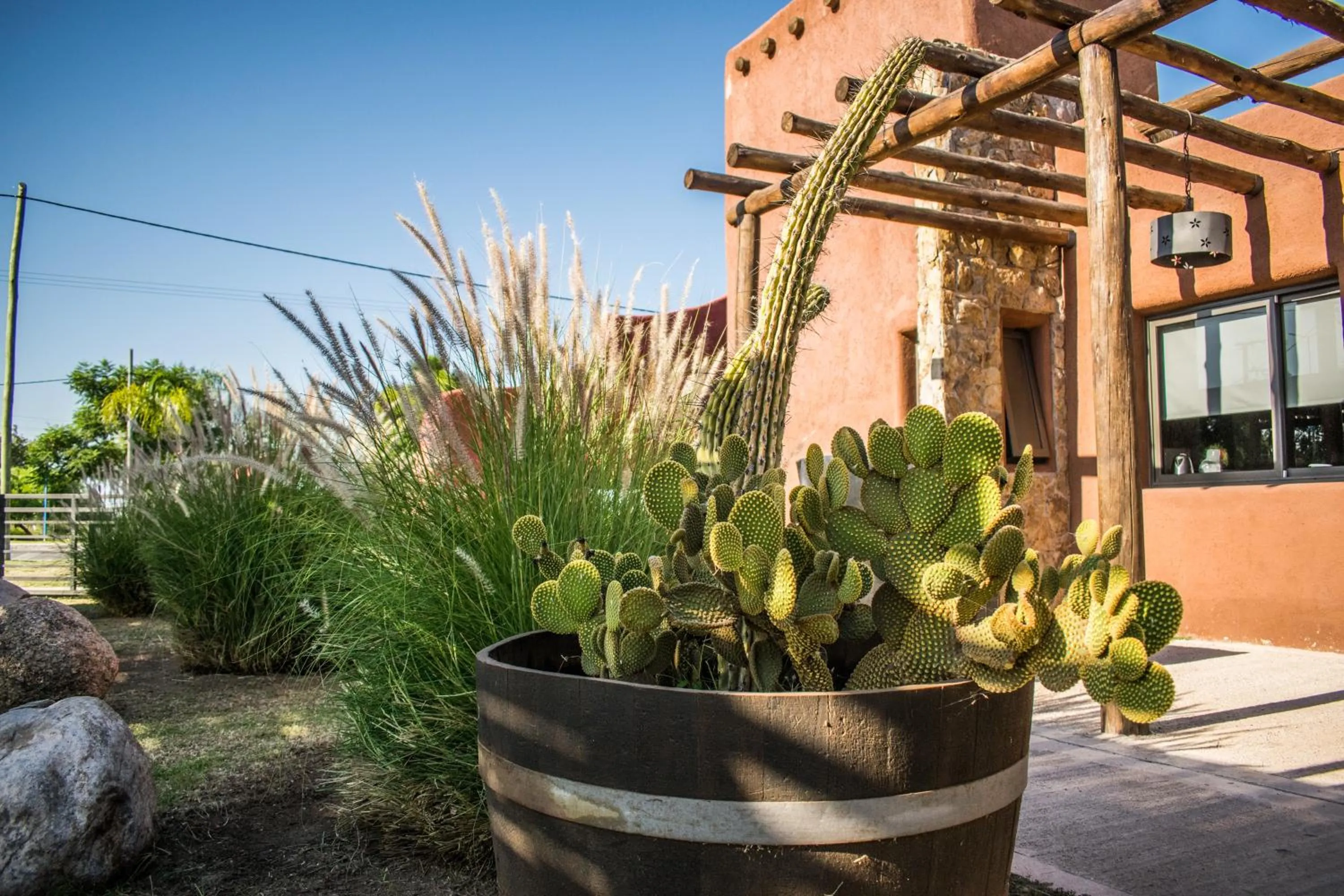 Off site in La Guadalupe Cabañas