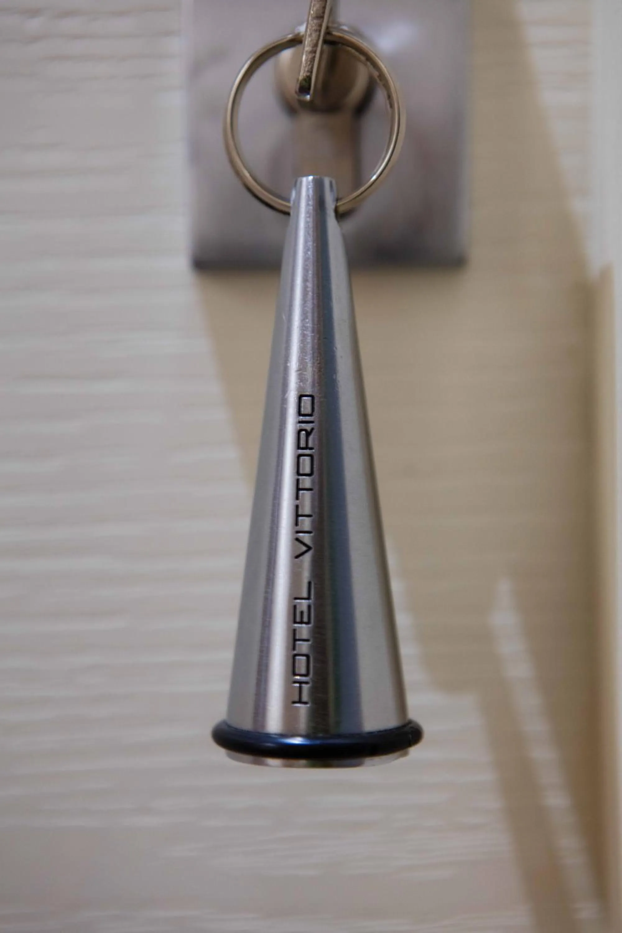 Property logo or sign in Hotel Vittorio