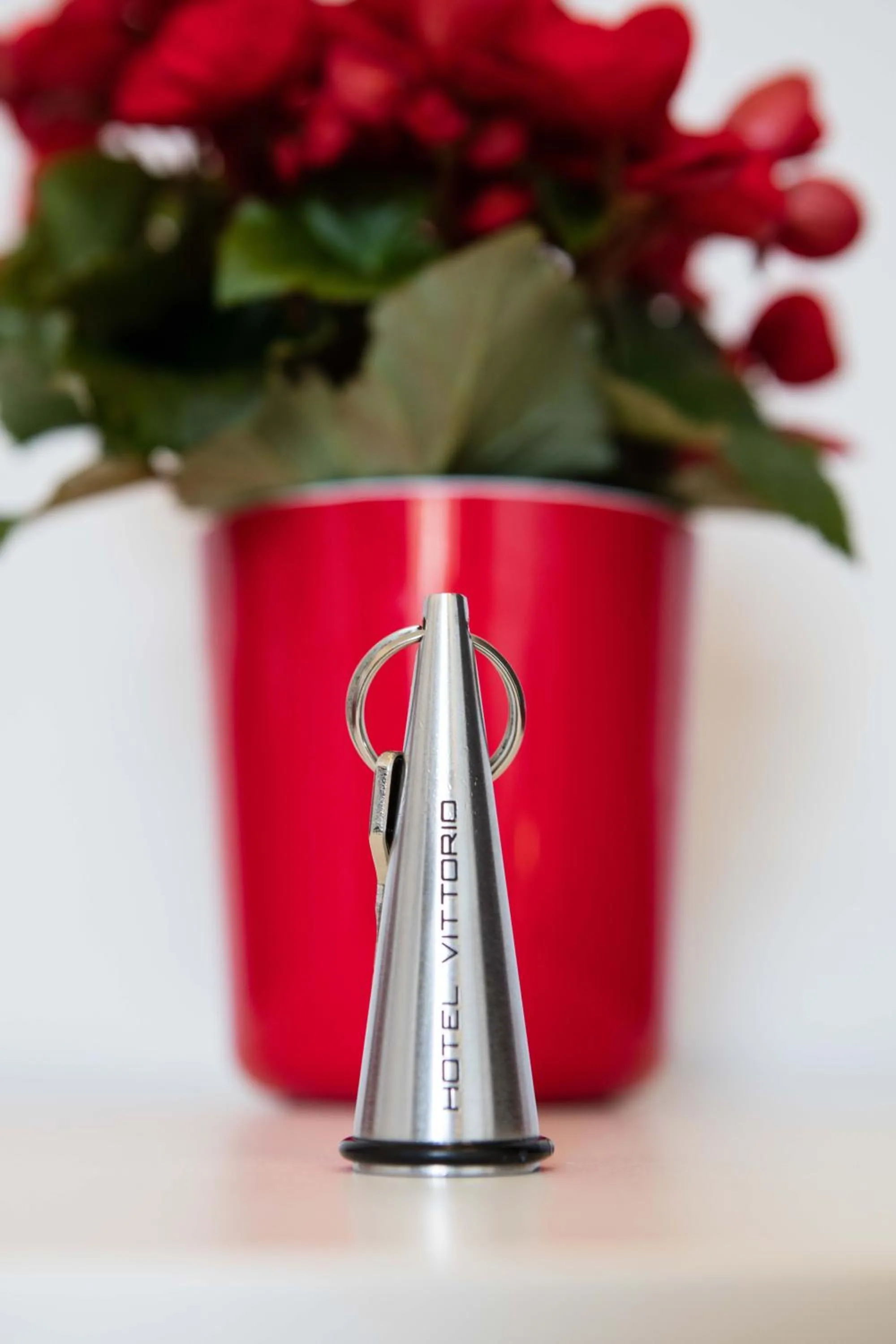 Property logo or sign in Hotel Vittorio