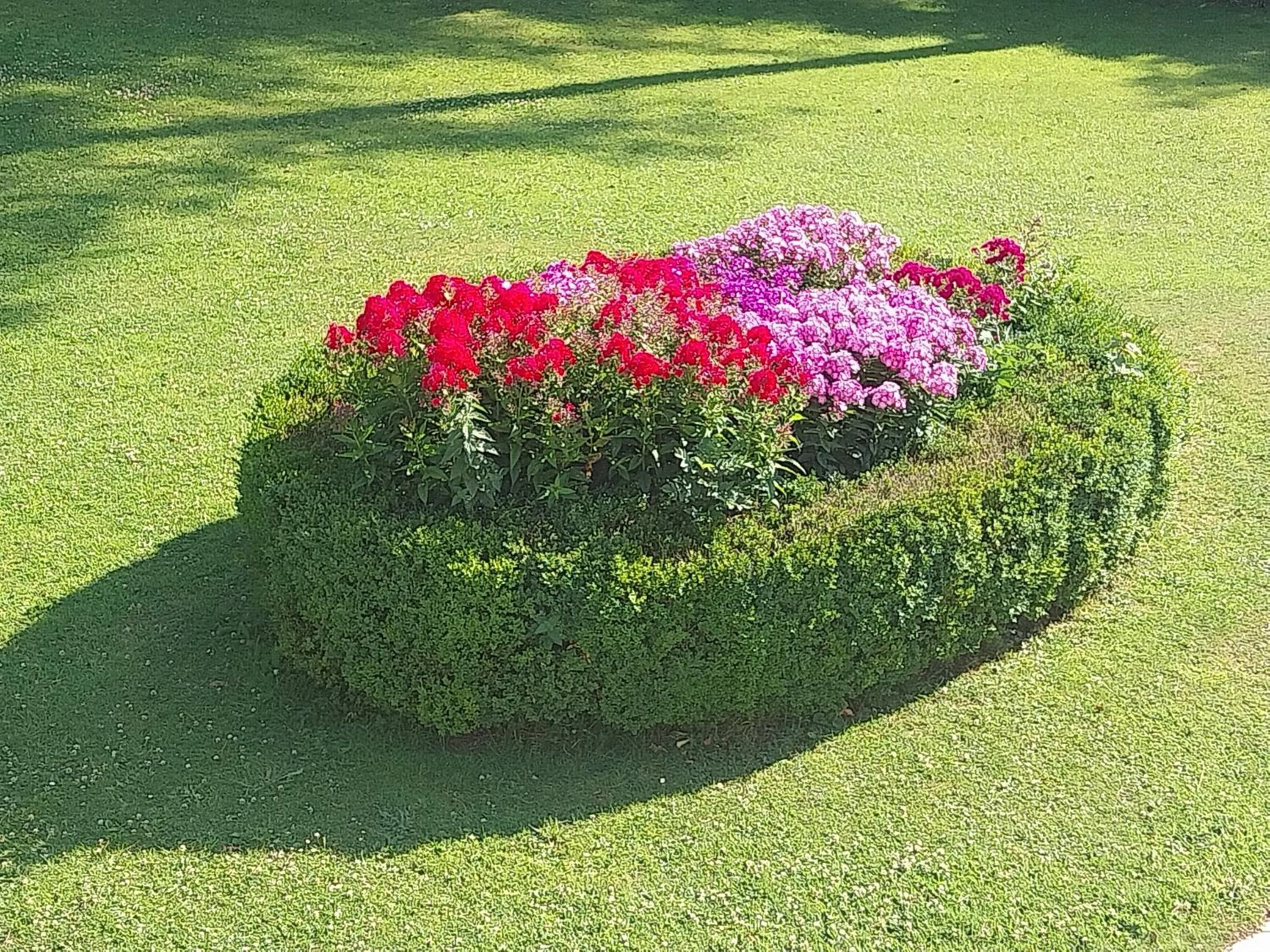 Garden in Le Point du Jour