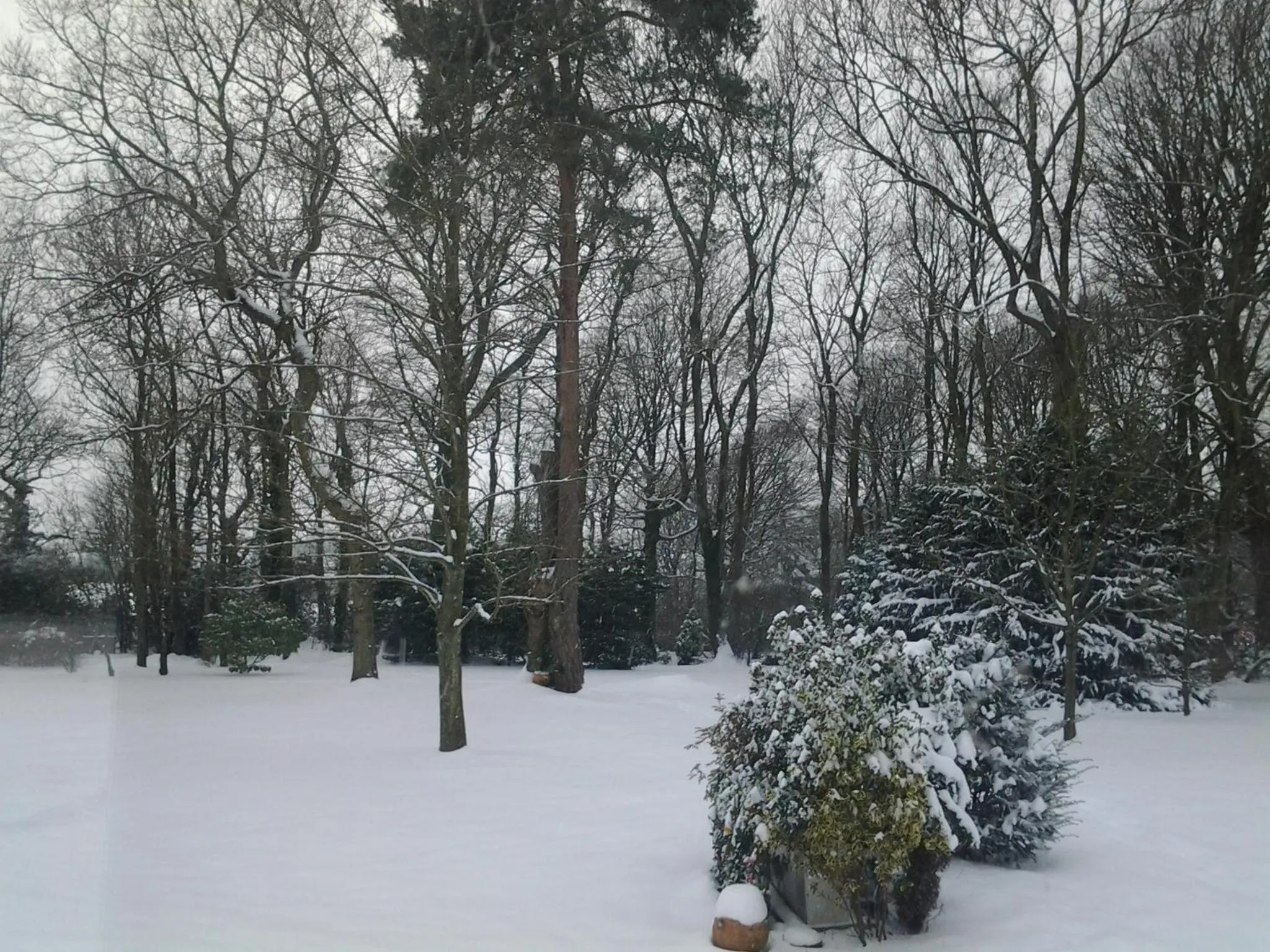 Garden view in Le Point du Jour