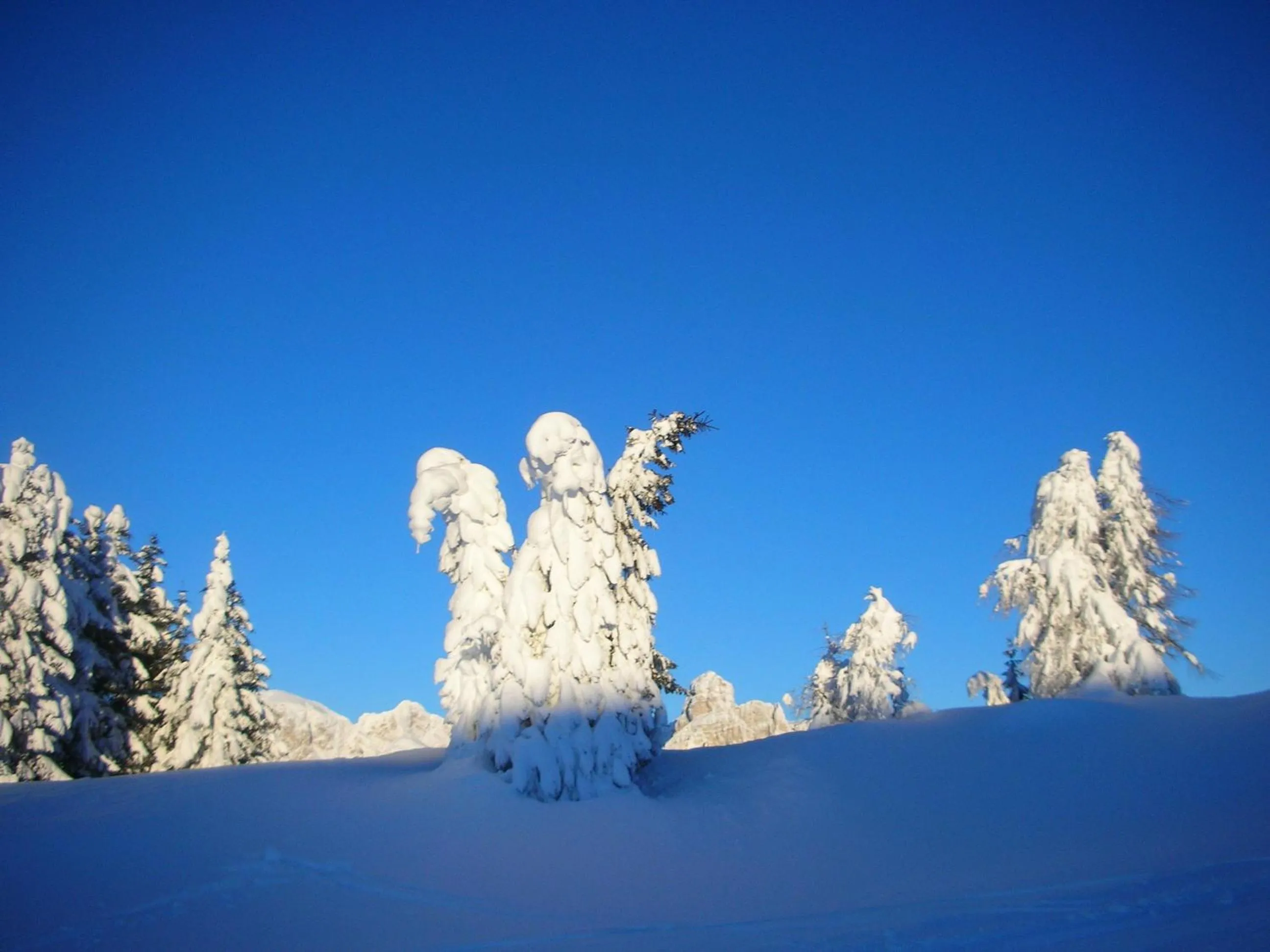 Day in Sporthotel Panorama