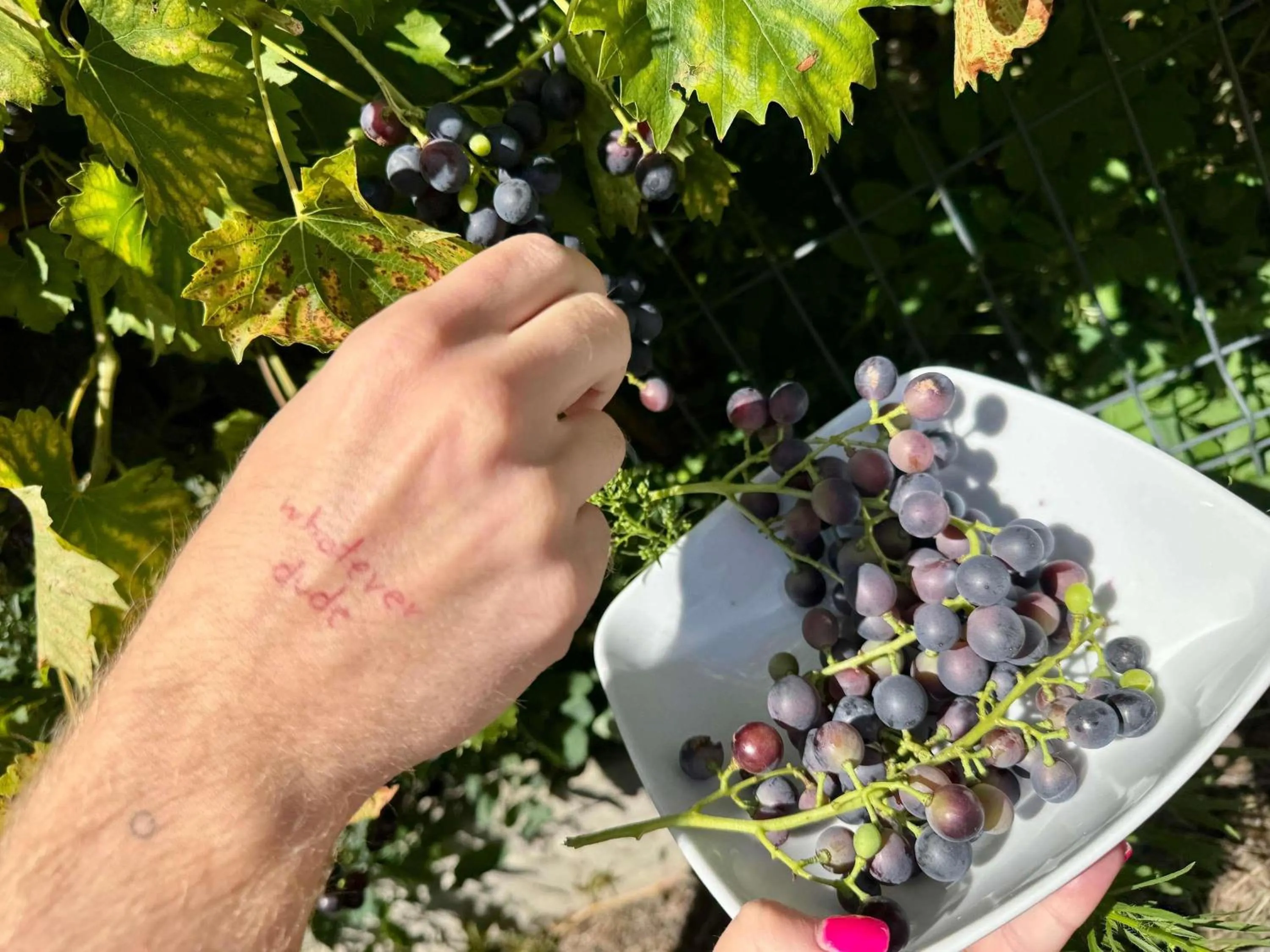 Other in Ibis Katowice - Zabrze