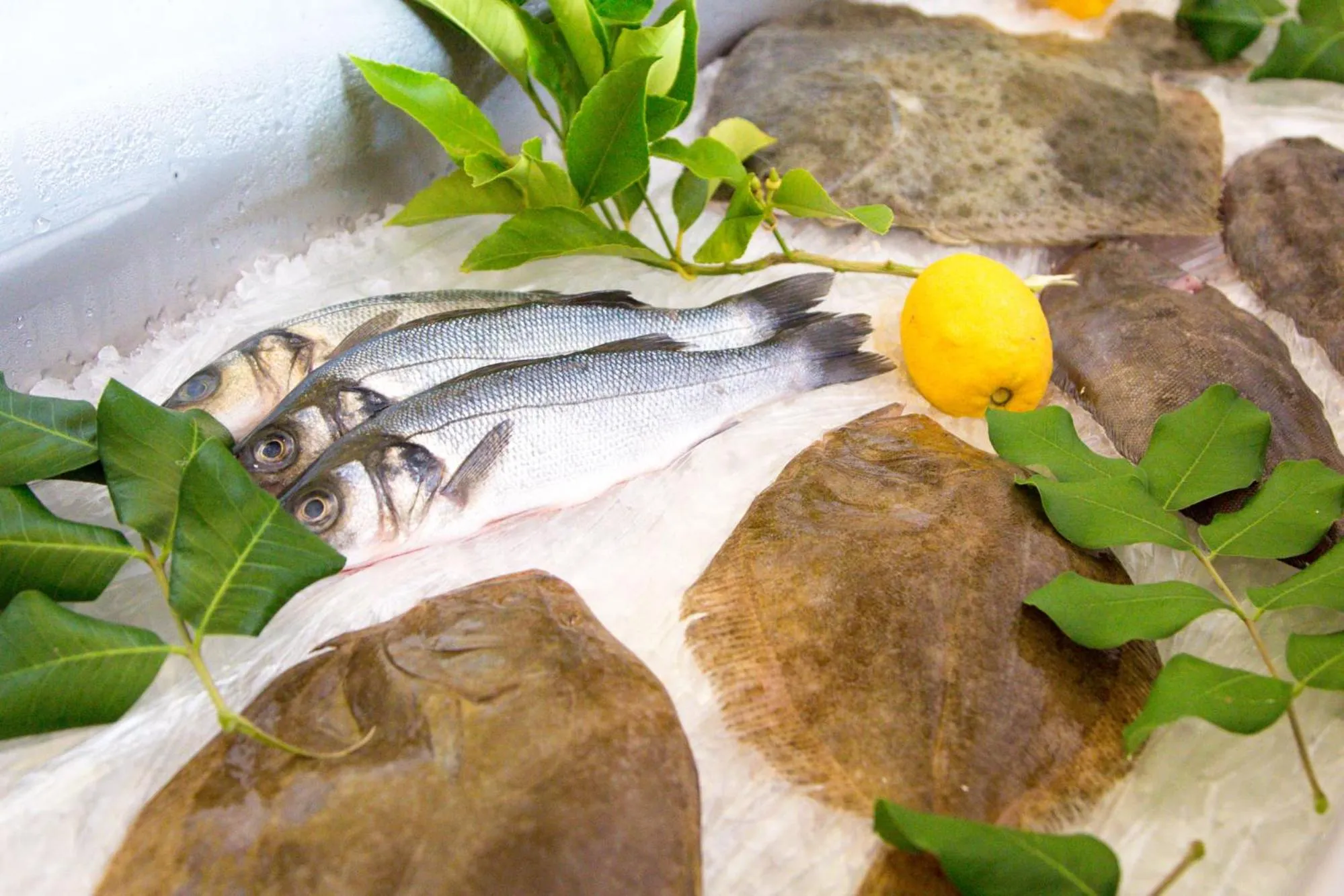 Restaurant/places to eat in Albergo Il Giardino