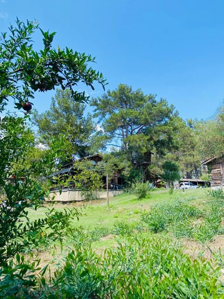 HavaSuPark Bungalows