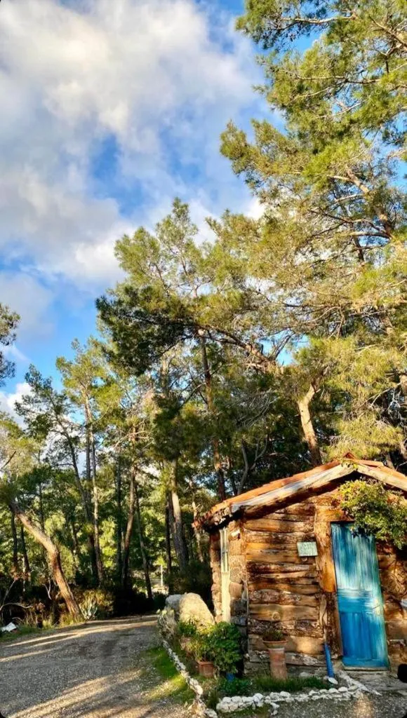 HavaSuPark Bungalows
