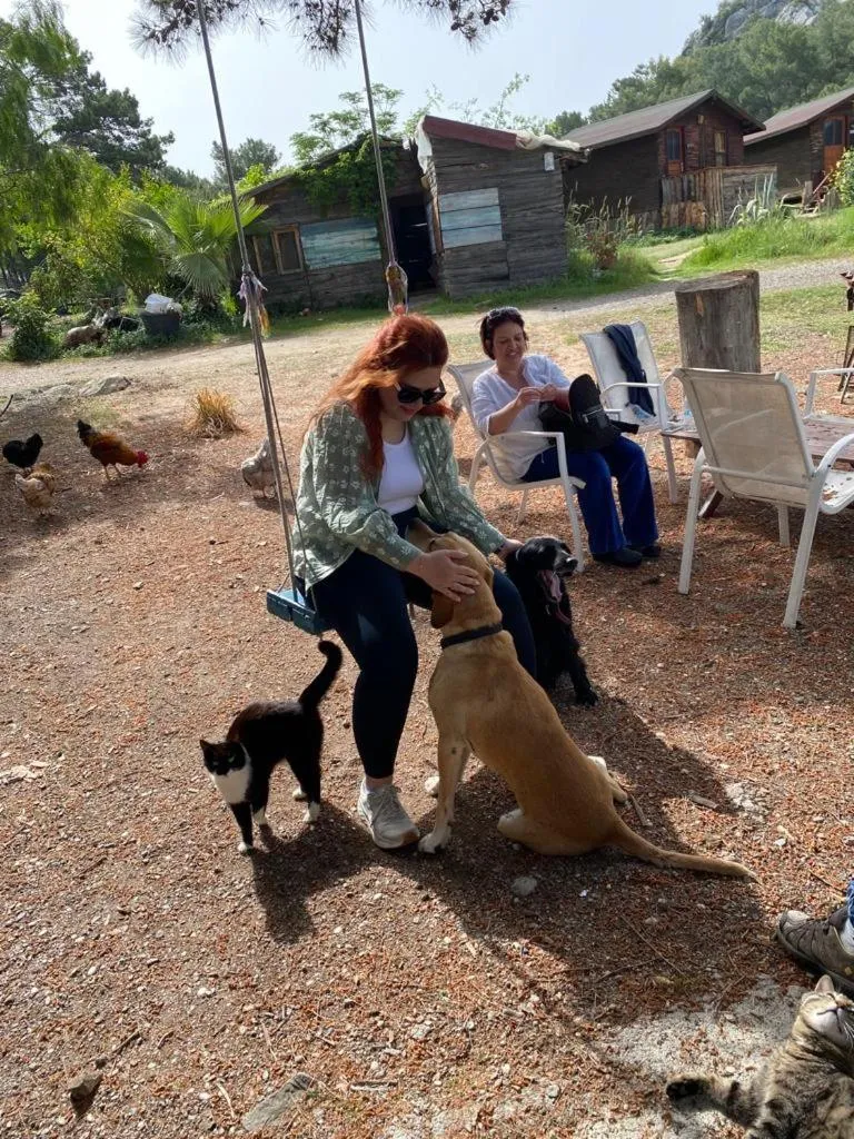 HavaSuPark Bungalows