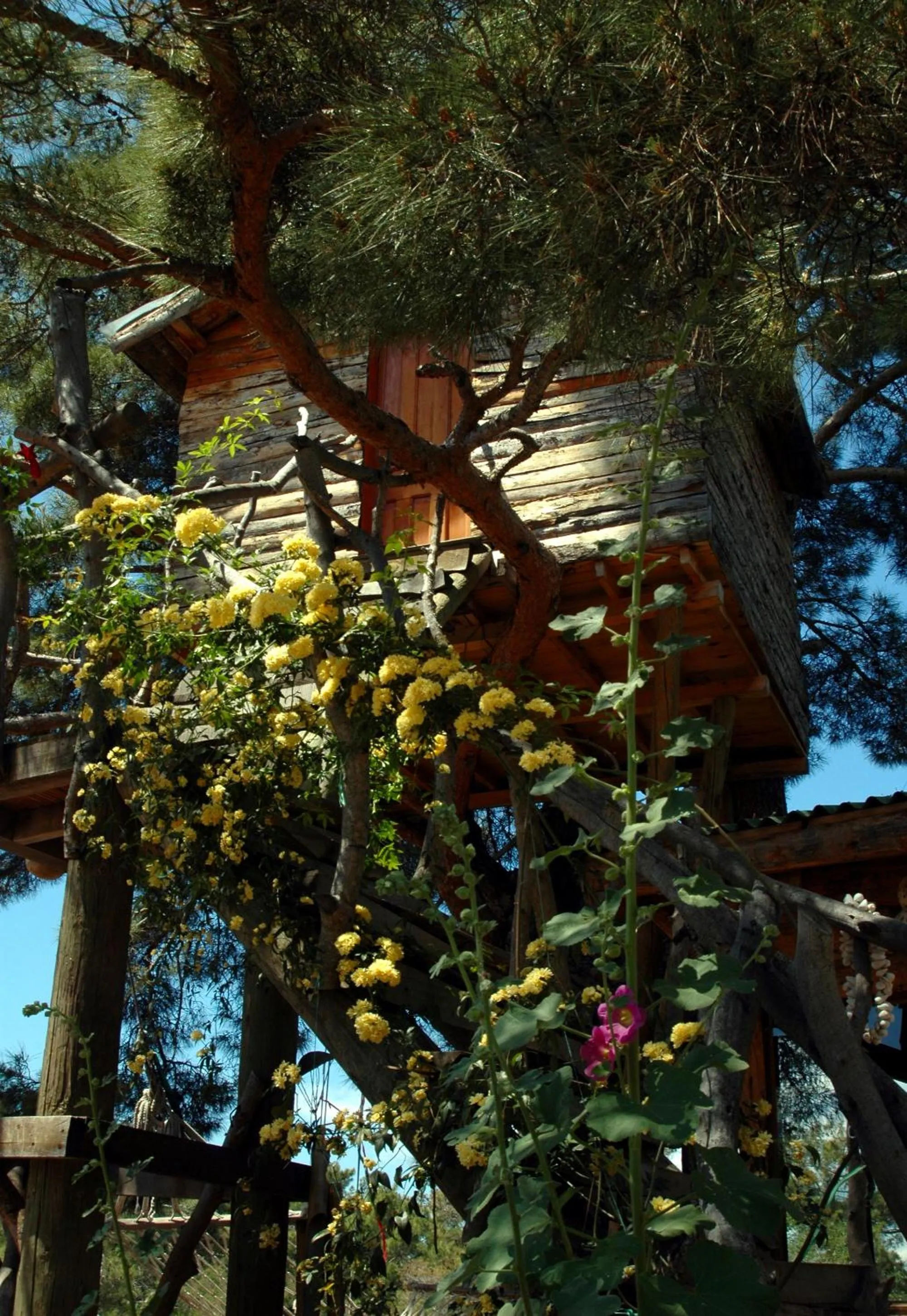 Photo of the whole room in HavaSuPark Bungalows